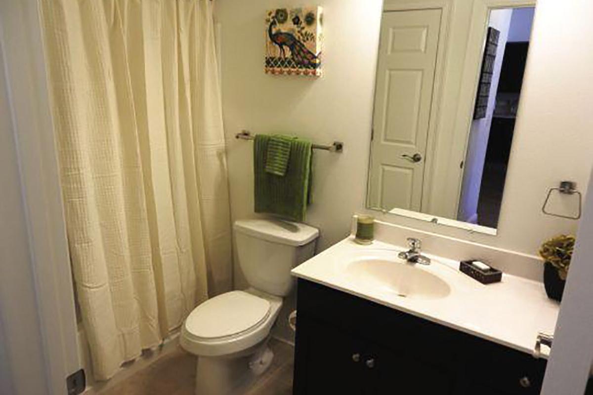 ModelBathroom2.jpg