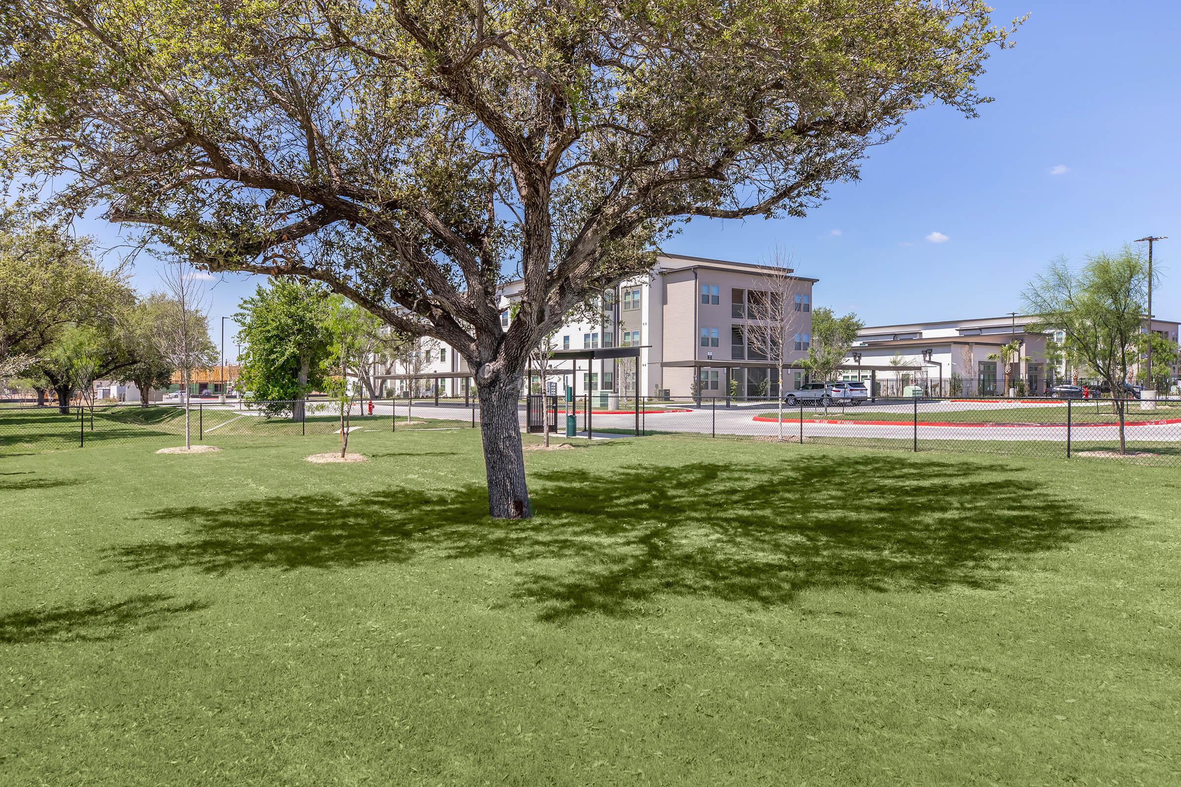 A grassy park area featuring a large tree casting a shadow, with modern buildings in the background. The sky is clear and blue, and there is a fence surrounding the park. The scene suggests a pleasant outdoor space for recreation.
