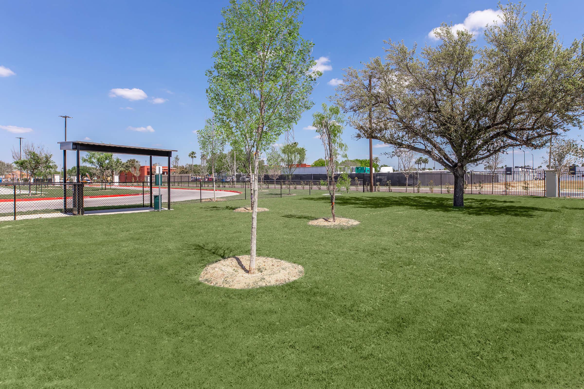 A sunny outdoor park scene featuring a well-maintained grassy area with several young trees. In the background, there is a fenced sports court and a shaded seating area. The sky is blue with a few fluffy clouds, creating a bright and inviting atmosphere.