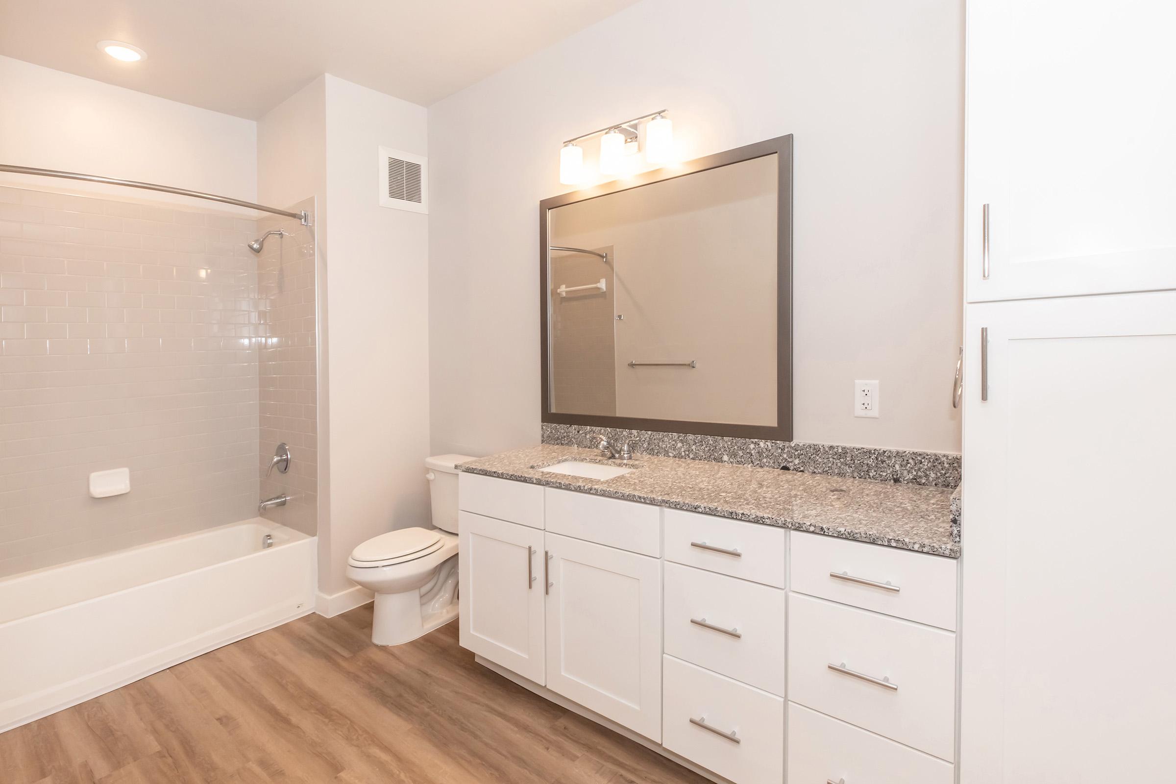 Bright, modern bathroom featuring a combination tub and shower, a large mirror above a white vanity with granite countertop, a toilet, and light-colored walls. The flooring is wood-like, adding warmth to the space. Natural light is enhanced by the well-placed lighting fixture above the mirror.