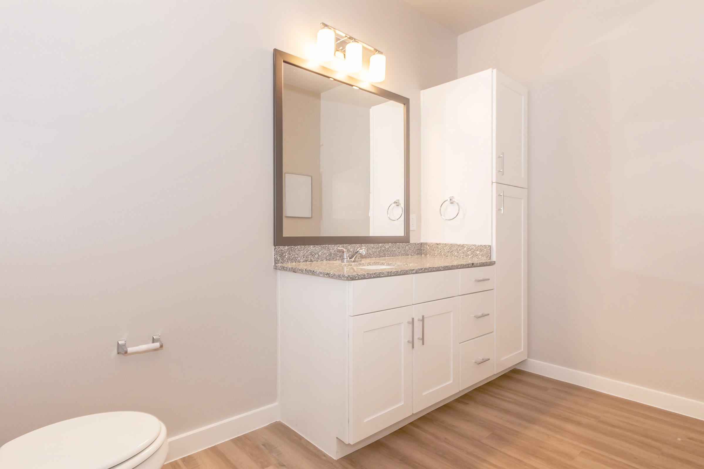 A modern bathroom featuring a white vanity with a granite countertop, a large mirror above, and a light fixture. The flooring is a light wood look, and there is a toilet on the left side. The walls are painted in a neutral tone, providing a clean and spacious appearance.