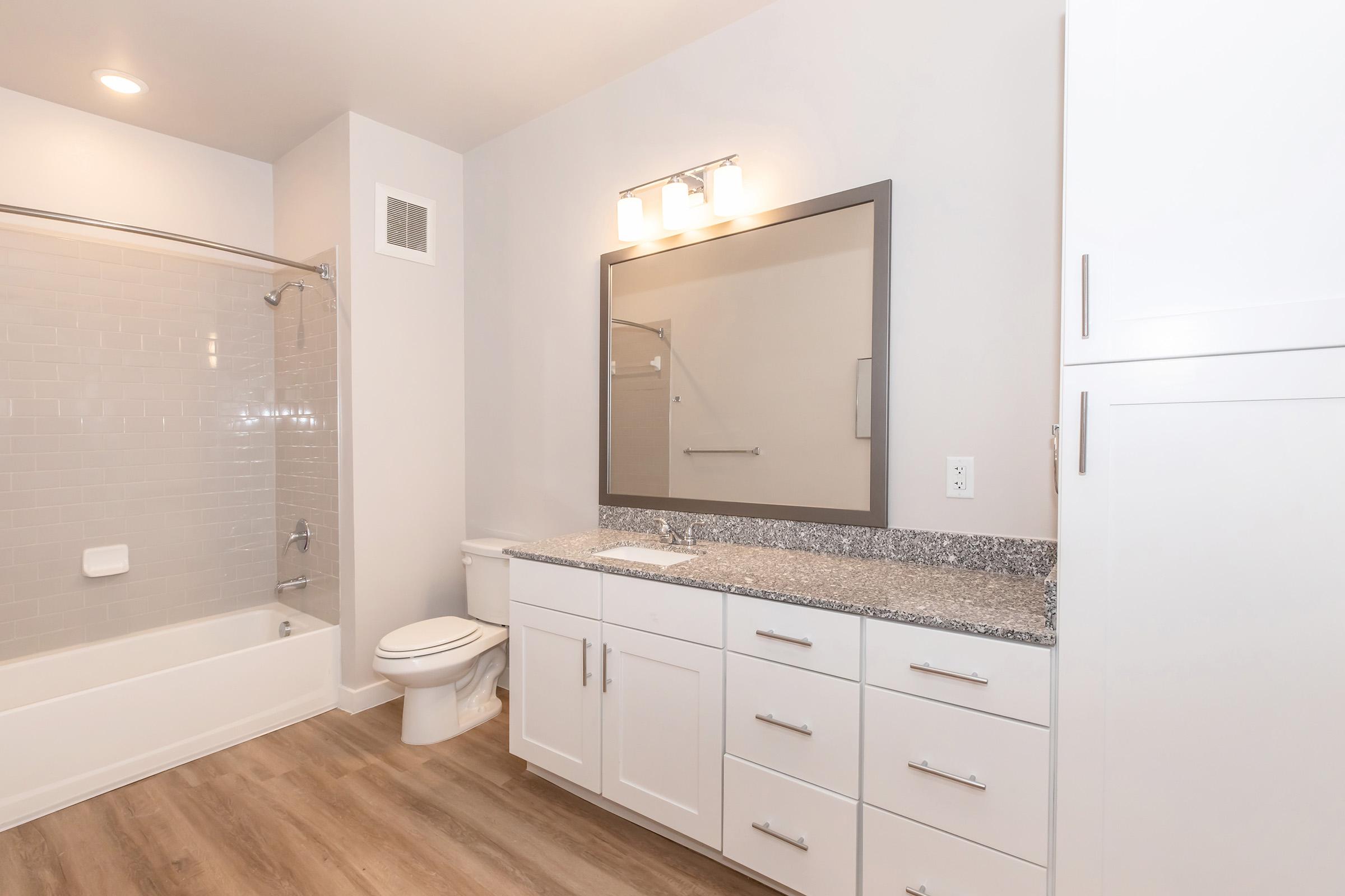 A modern bathroom featuring a white bathtub with a shower, a large mirror above a granite countertop with white cabinets, and a toilet. The walls are painted in a light color, and the flooring is wood-like. Bright lighting is installed above the mirror for illumination.