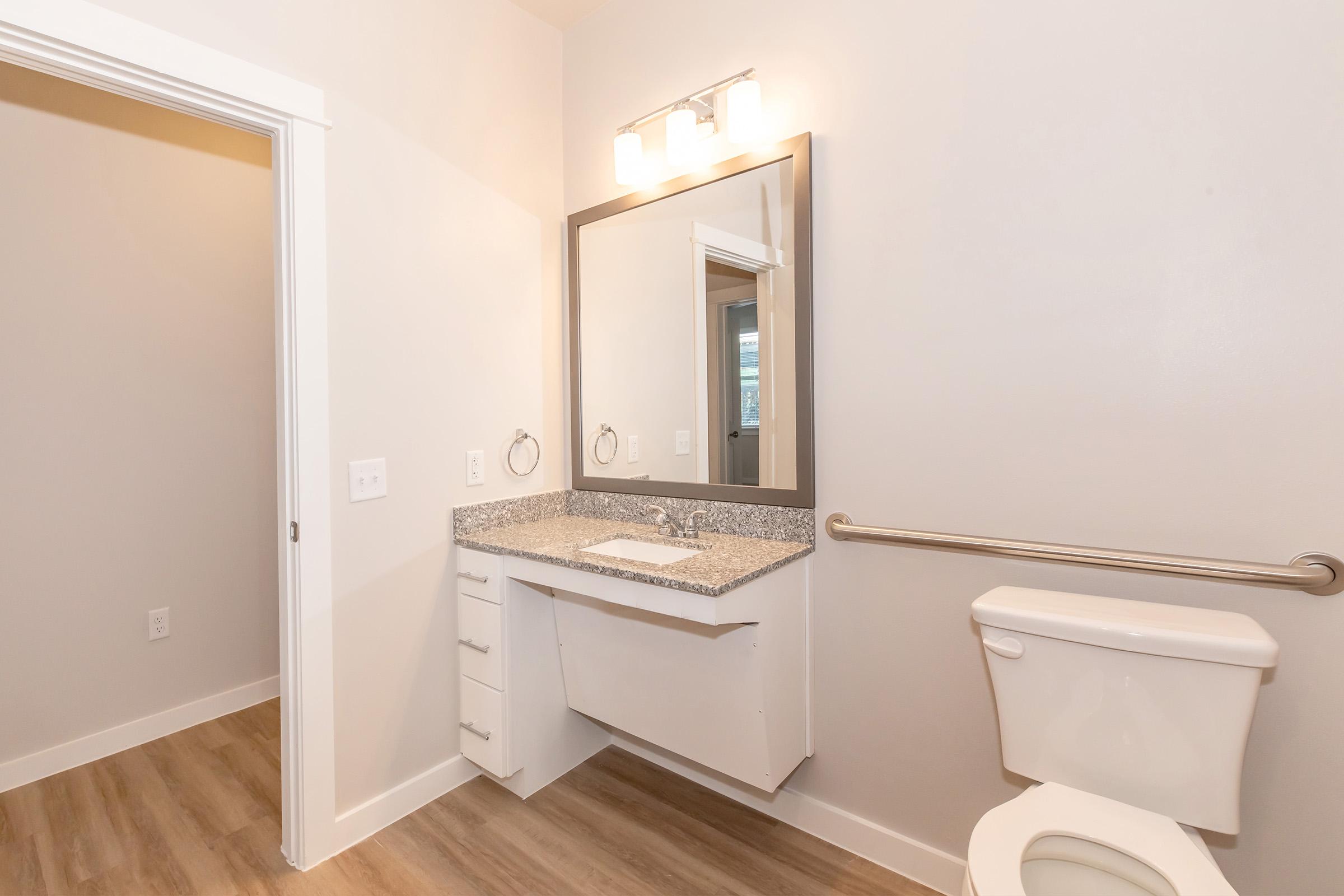 Bright and modern bathroom featuring a wall-mounted mirror above a gray countertop sink with storage cabinets underneath. A toilet is positioned beside the sink. The flooring is light wood, and the walls are painted in a soft neutral color. A handrail is installed for accessibility.