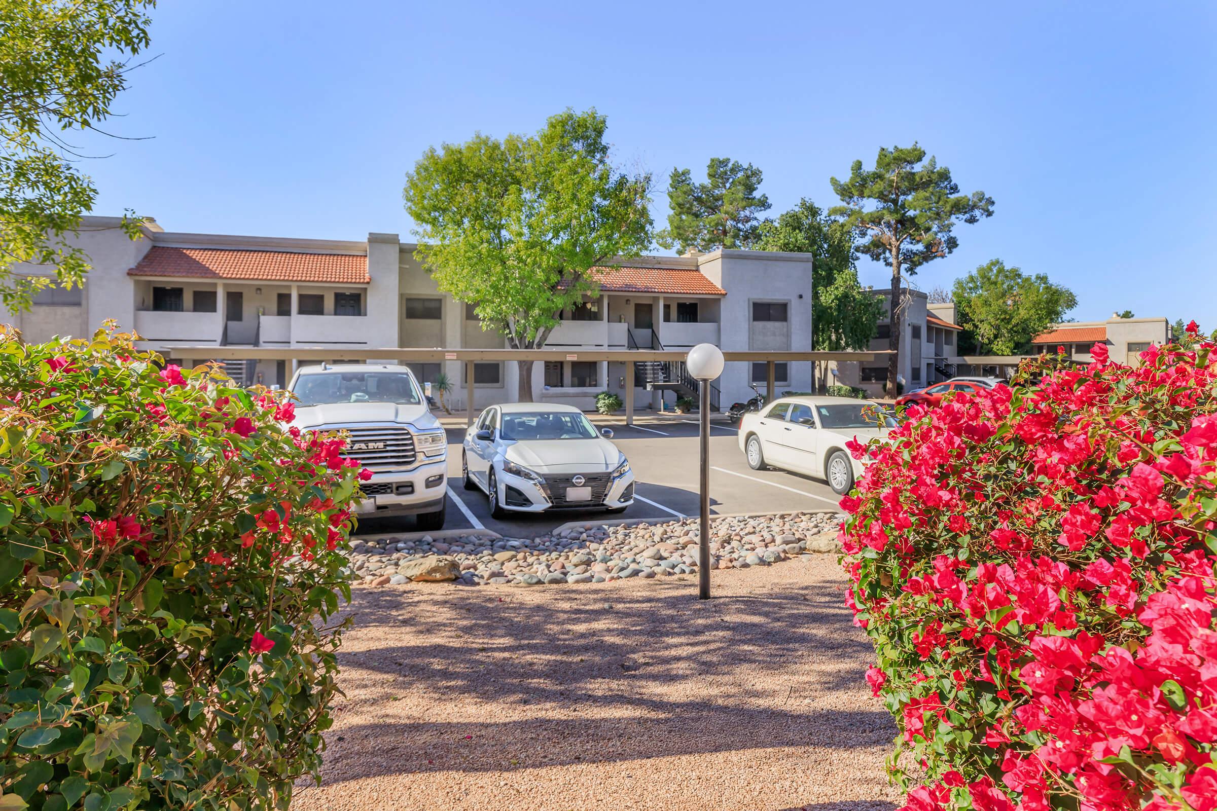 A view of a residential parking area featuring several cars, surrounded by vibrant pink bougainvillea flowers. In the background, multi-story buildings and trees are visible under a clear blue sky. The scene conveys a peaceful and inviting atmosphere.