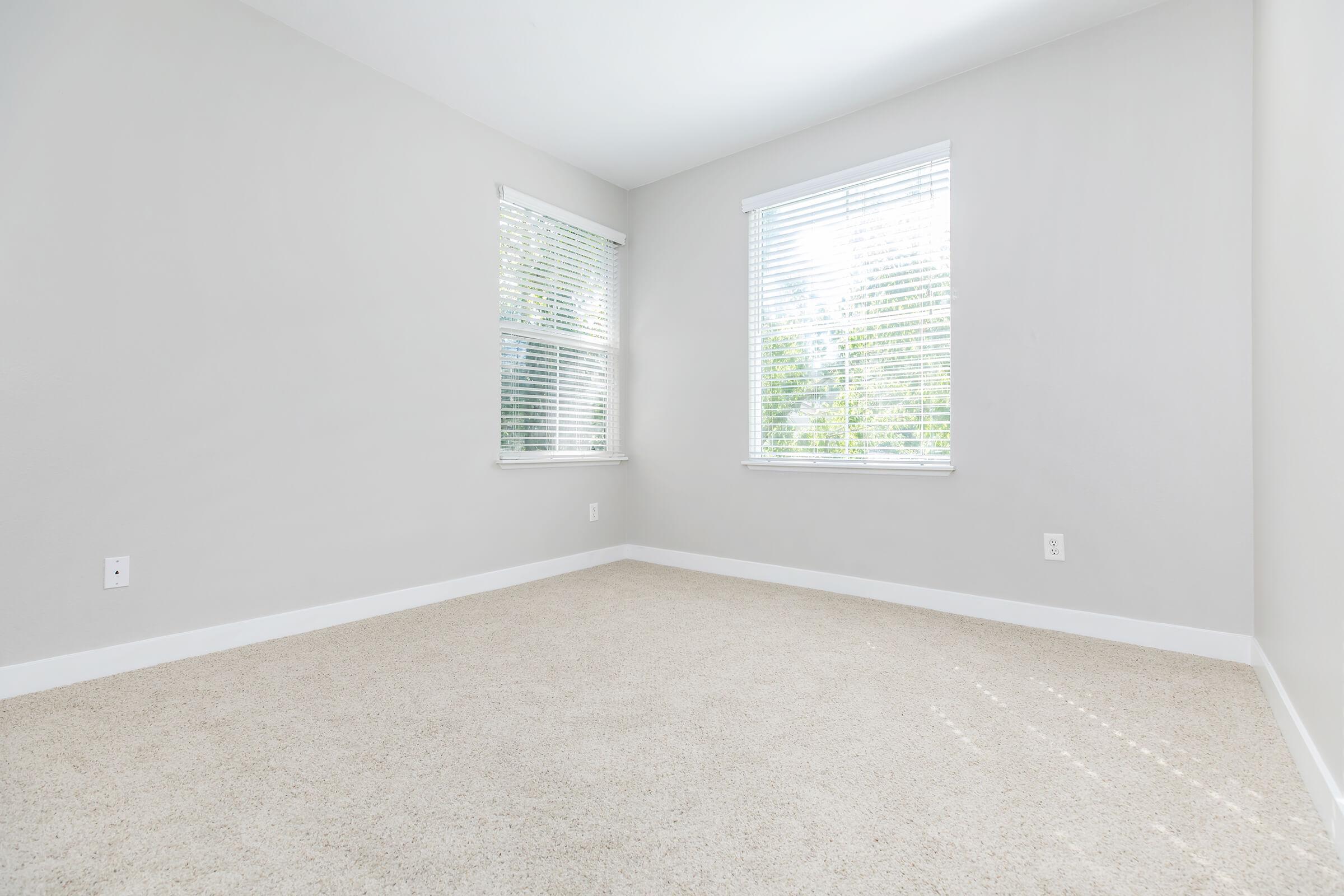 A bright, empty room with light gray walls and beige carpet. Two windows with white blinds allow natural light to enter, creating a spacious and inviting atmosphere. The room has a clean, minimalist look, with no furniture or decorations, making it ready for use or customization.