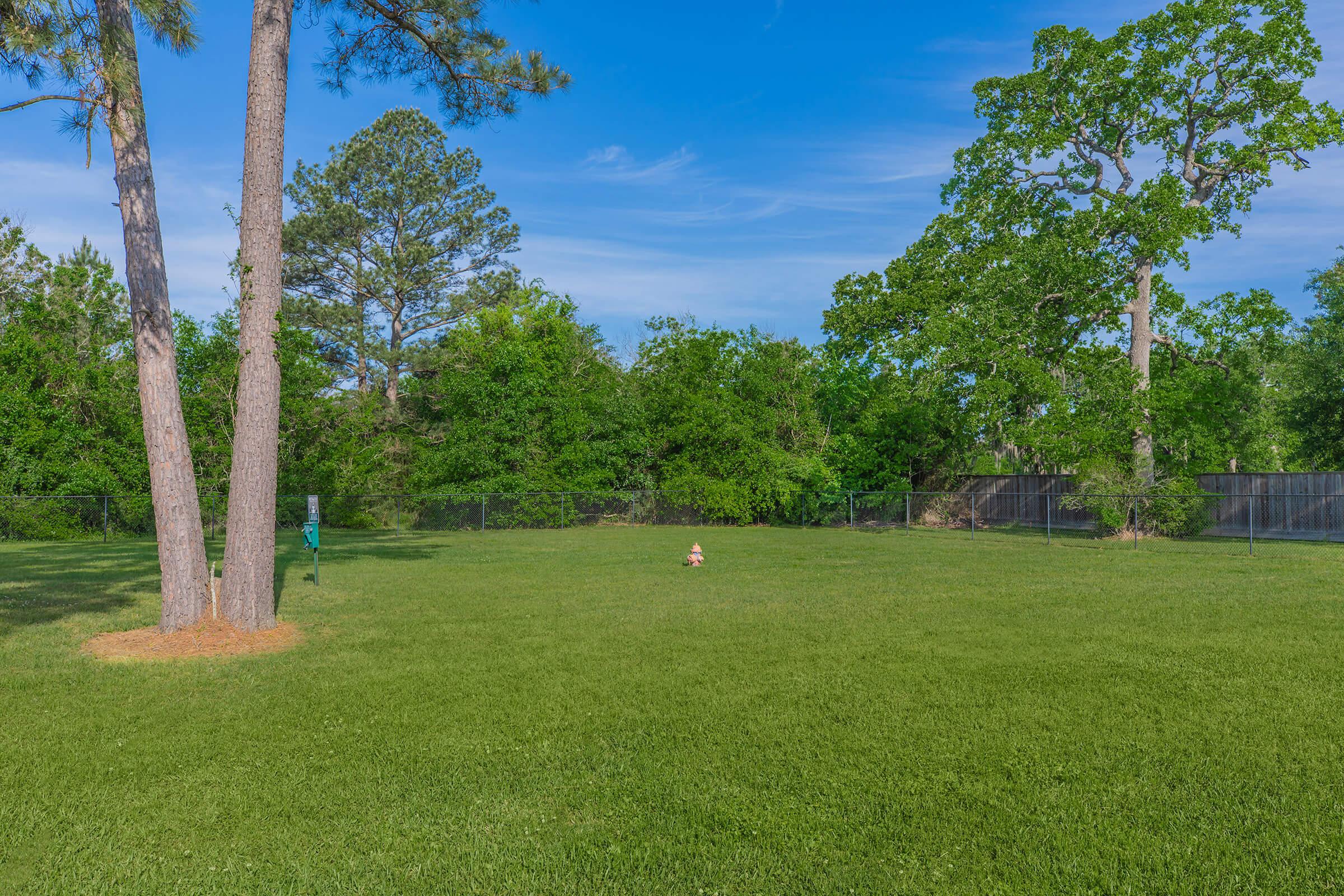 a large green field with trees in the background