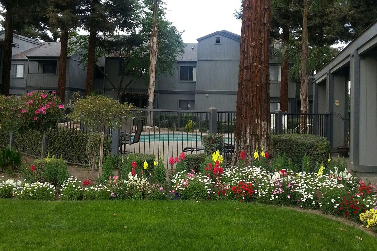 A serene view of a landscaped garden featuring colorful flowers in the foreground, with a grassy area, and a swimming pool surrounded by gray buildings in the background. Mature trees add shade, creating a peaceful outdoor atmosphere. The setting is ideal for relaxation.
