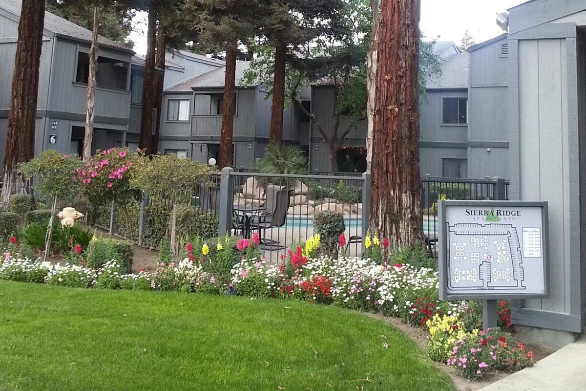 A view of the Sierra Ridge apartment complex, featuring multiple gray buildings set among tall trees. In the foreground, a vibrant flower garden with colorful blossoms surrounds a fenced swimming pool area. A sign detailing the complex layout is visible on the right. Bright greenery enhances the overall scene.