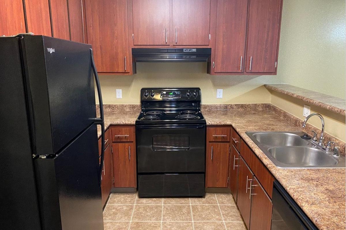 A compact kitchen featuring dark wooden cabinets, a black refrigerator, a black stove with an oven, and double stainless steel sinks. The countertop is a light brown, and the floor is tiled. The walls are painted a light green color.