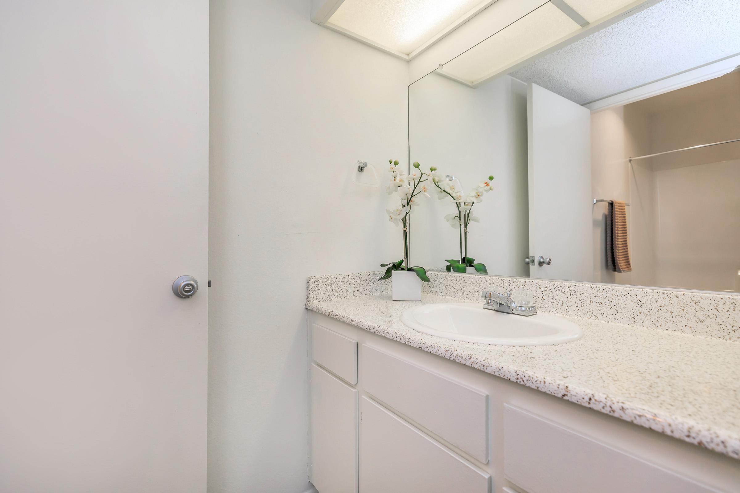 Bathroom sink with white cabinets