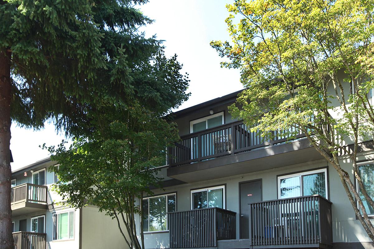 a tree in front of a house