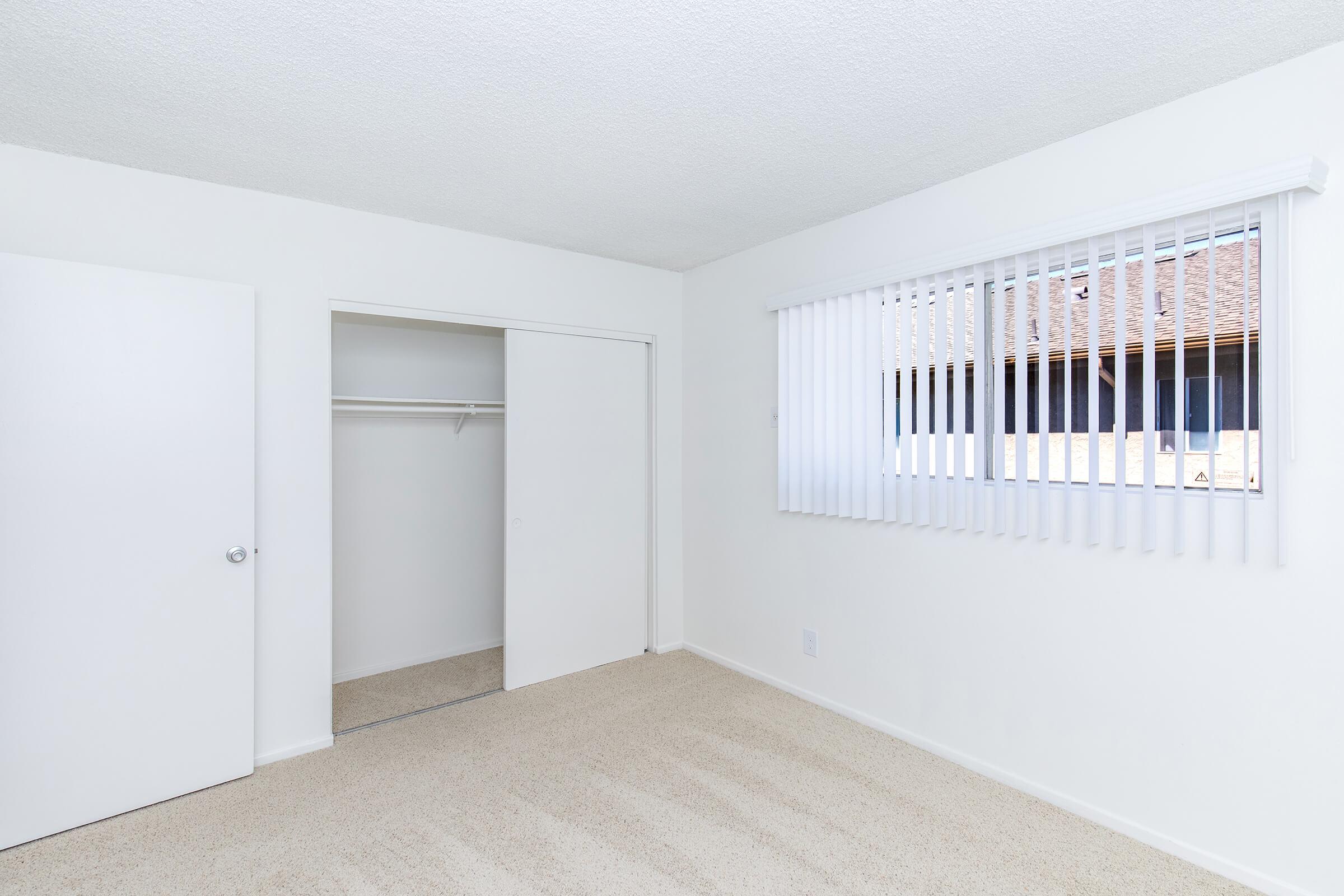 A bright, empty room featuring beige carpet and white walls. There is a closed door on the left, a closet with sliding doors, and a window with vertical blinds allowing natural light to enter. The overall space appears clean and modern, suitable for various purposes.