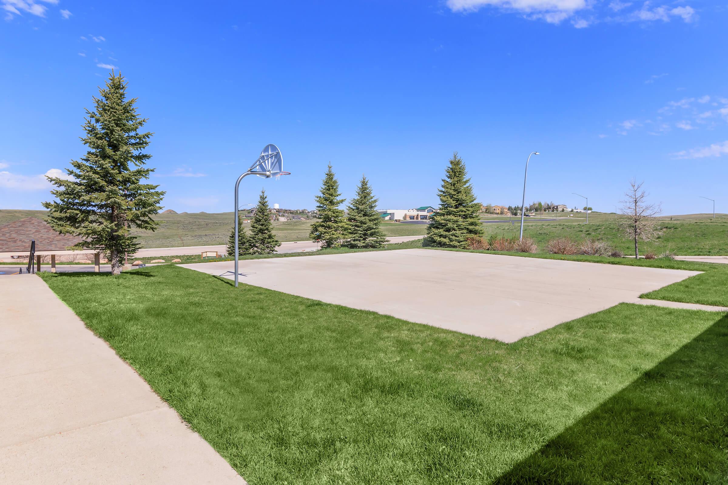 An empty outdoor basketball court bordered by green grass and pine trees under a clear blue sky. The court features a basketball hoop and is set against a backdrop of rolling hills and distant buildings.