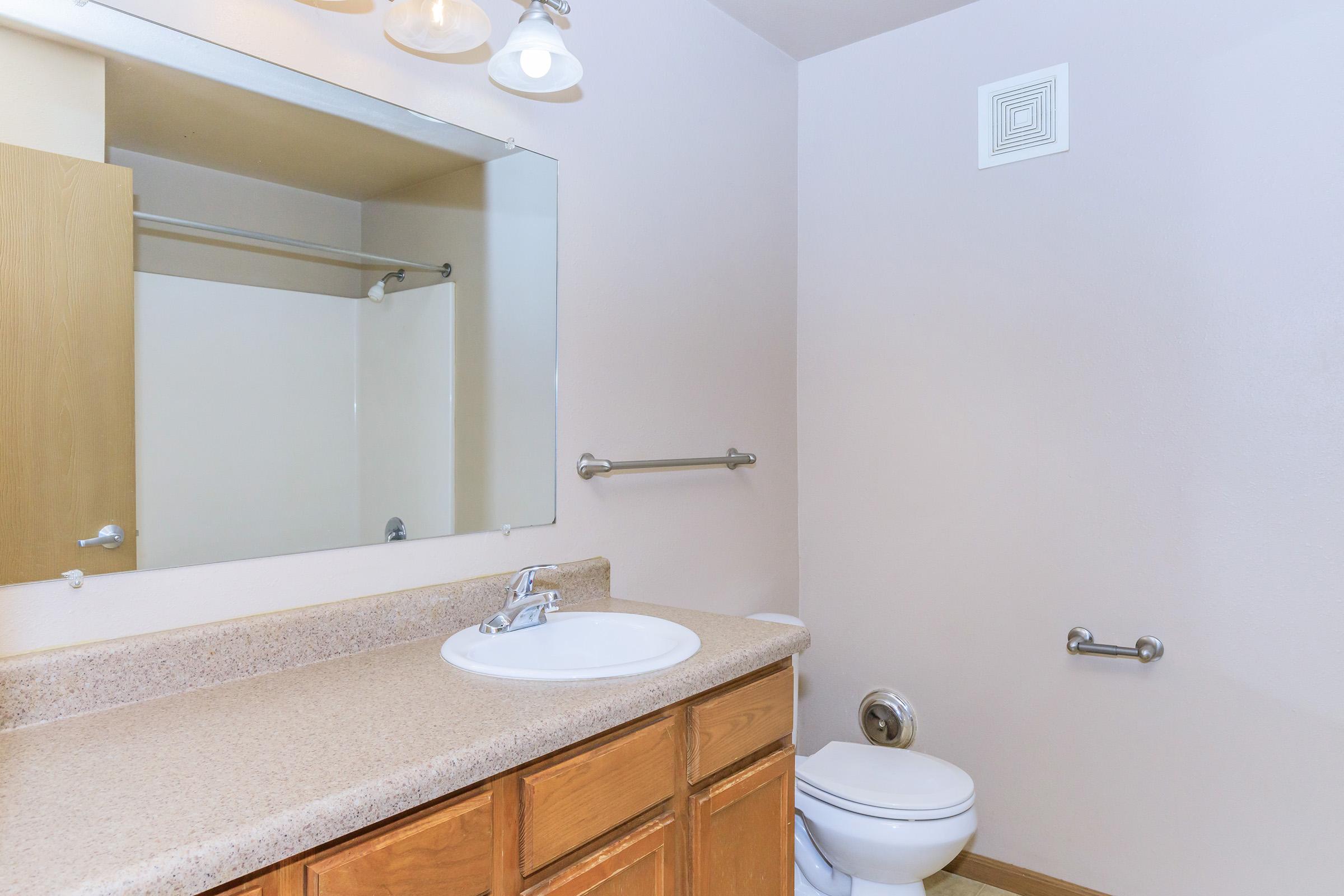 A clean bathroom featuring a light-colored wall, a large mirror above a countertop with a sink, and wooden cabinetry. A toilet is positioned to the side, and a shower area is visible in the background, partially obscured by a shower curtain. The space is well-lit with overhead light fixtures.