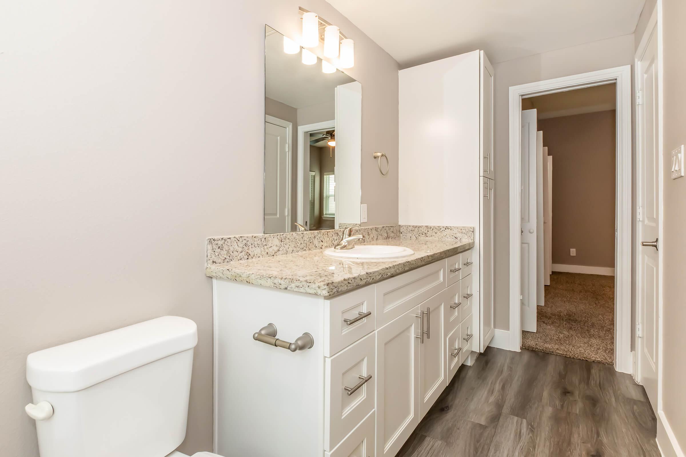Bright modern bathroom featuring a white toilet, a spacious vanity with a granite countertop and sink, and a large mirror above. The walls are painted a soft neutral color, and the floor has a wood-like finish. An open door leads to a carpeted hallway, adding depth to the space.