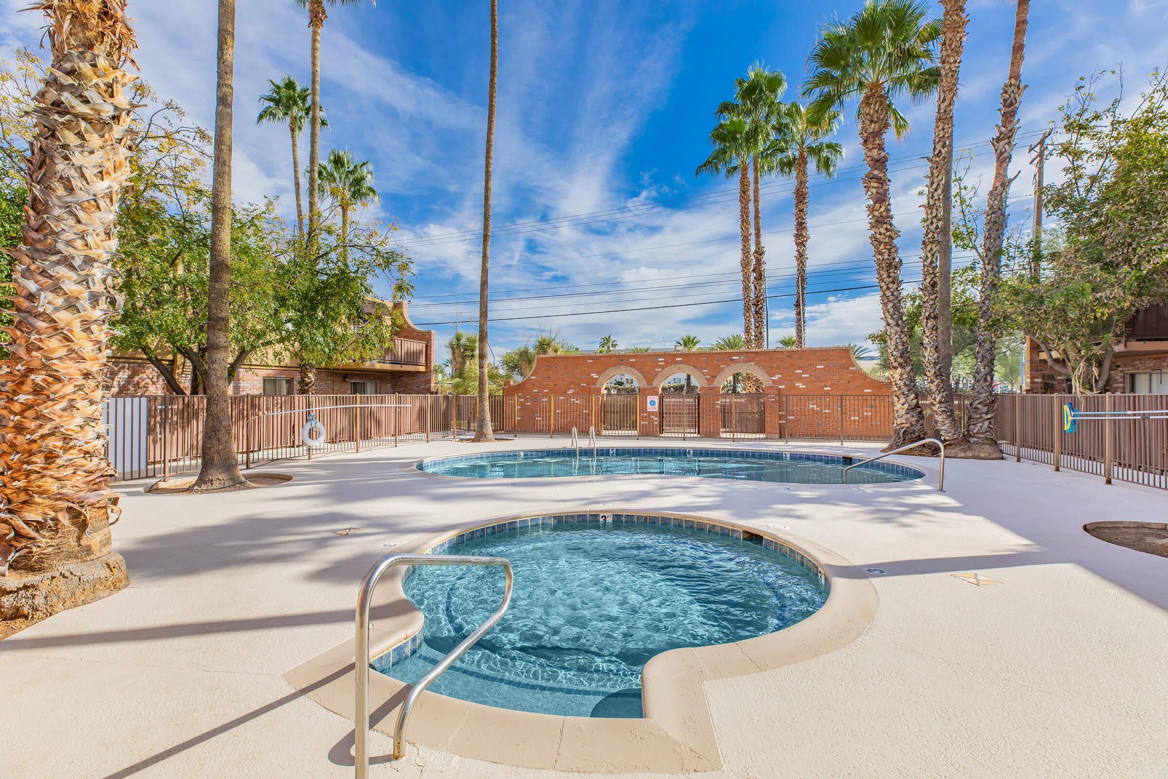 a pool next to a palm tree