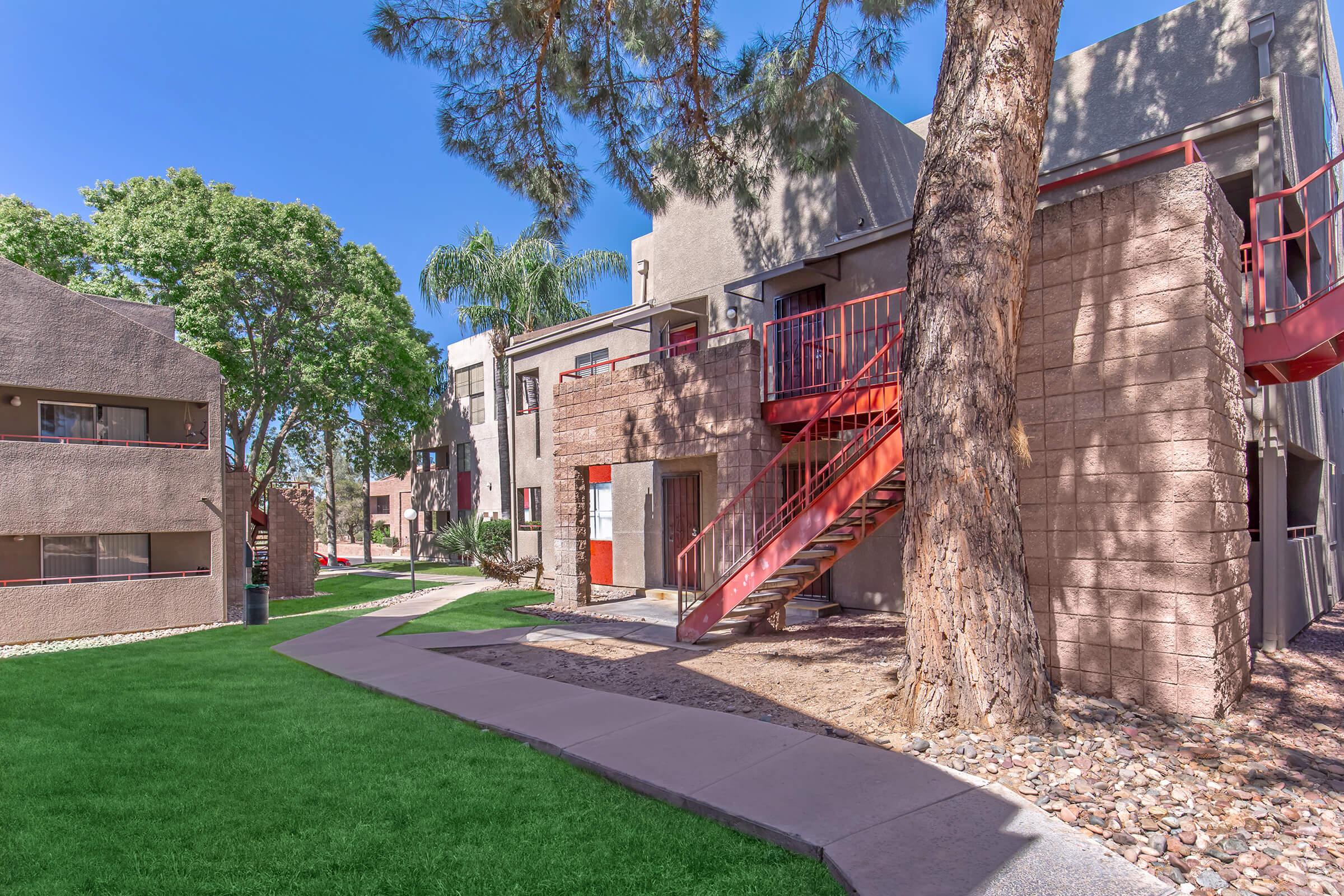 a tree in front of a brick building