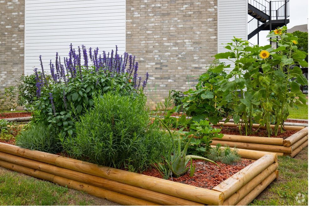 a wooden bench in a garden