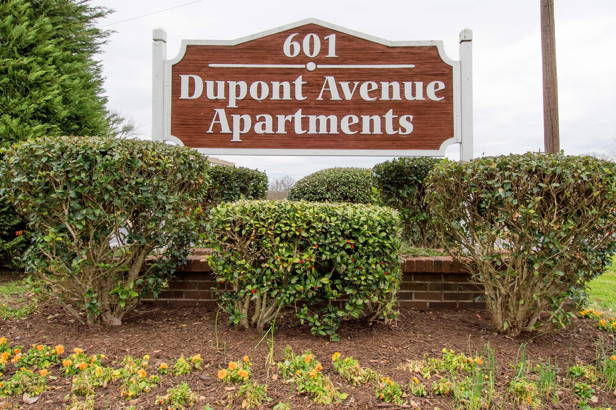 Madison Dupont-44.jpg