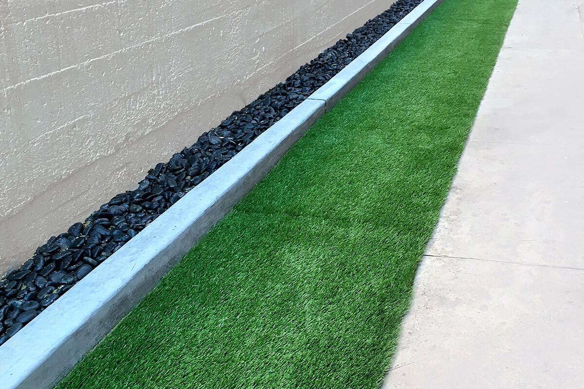 rear yard v1.jpg