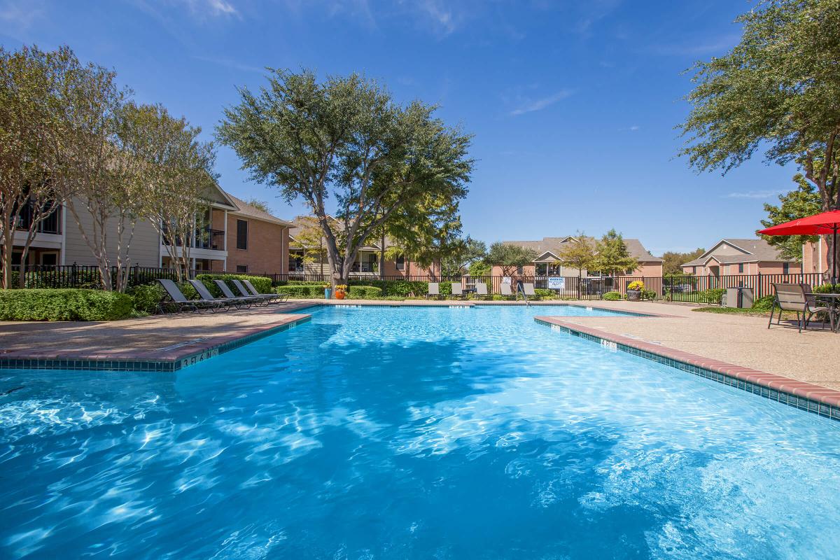 SHIMMERING SWIMMING POOL IN PLANO, TEXAS