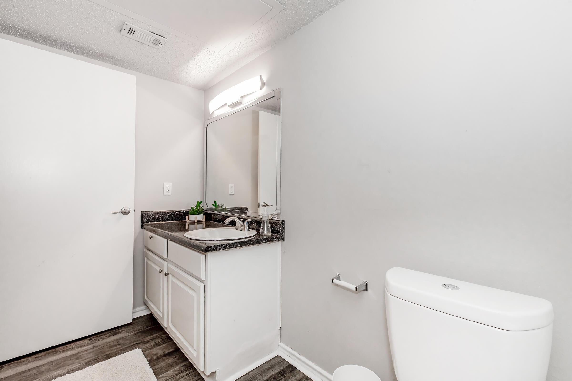A clean bathroom with a white cabinet and dark countertop, featuring a sink, mirror, and a green plant. A white toilet is visible on the right. The walls are painted light gray, and there's a door on the left leading to another room, with a light fixture above the mirror providing illumination.