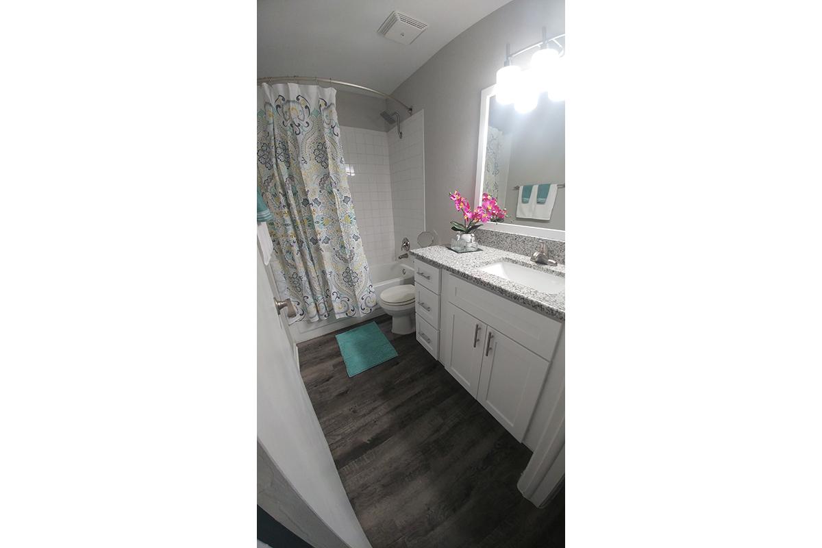 model Guest bathroom.jpg