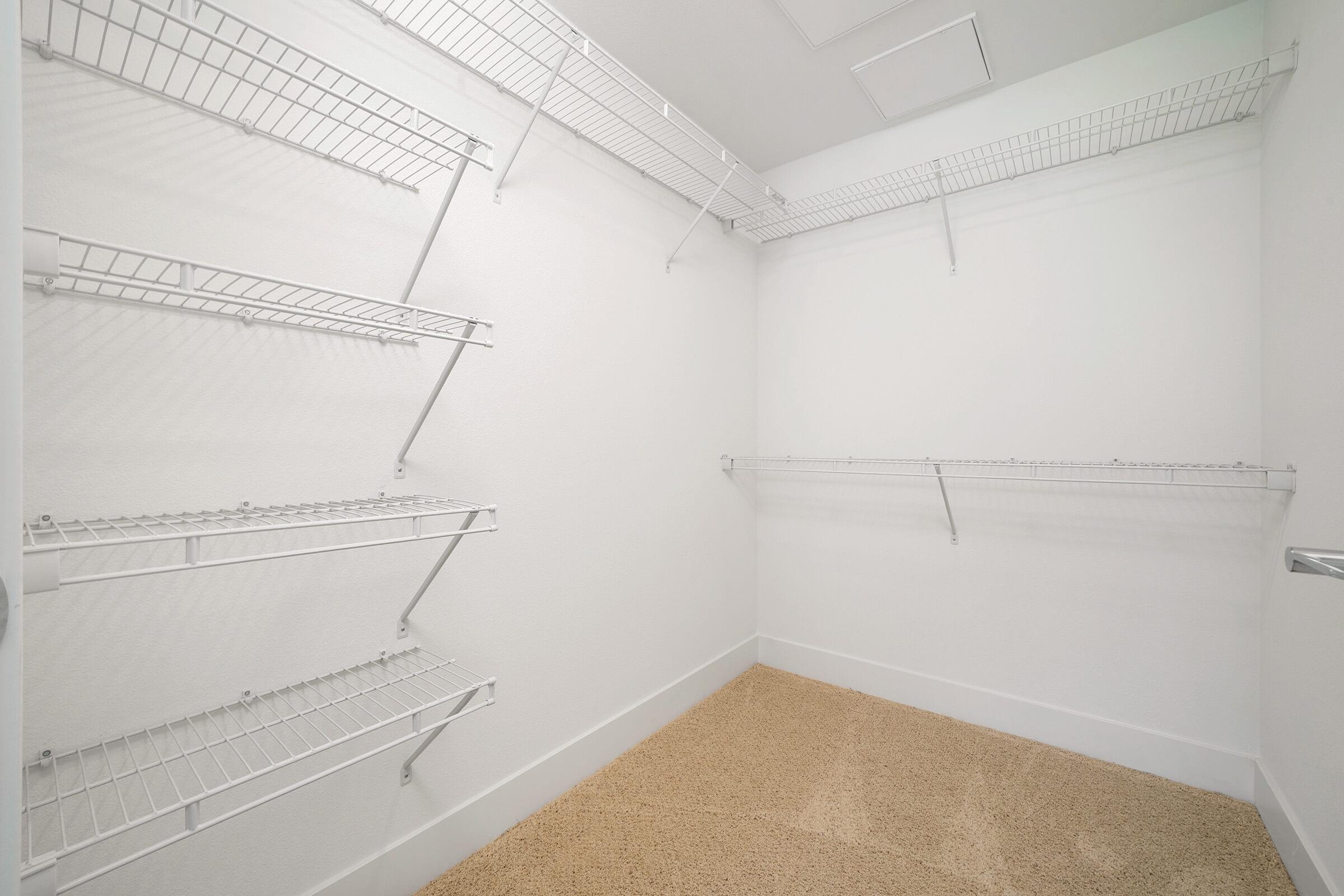 Carpeted closet with shelves 