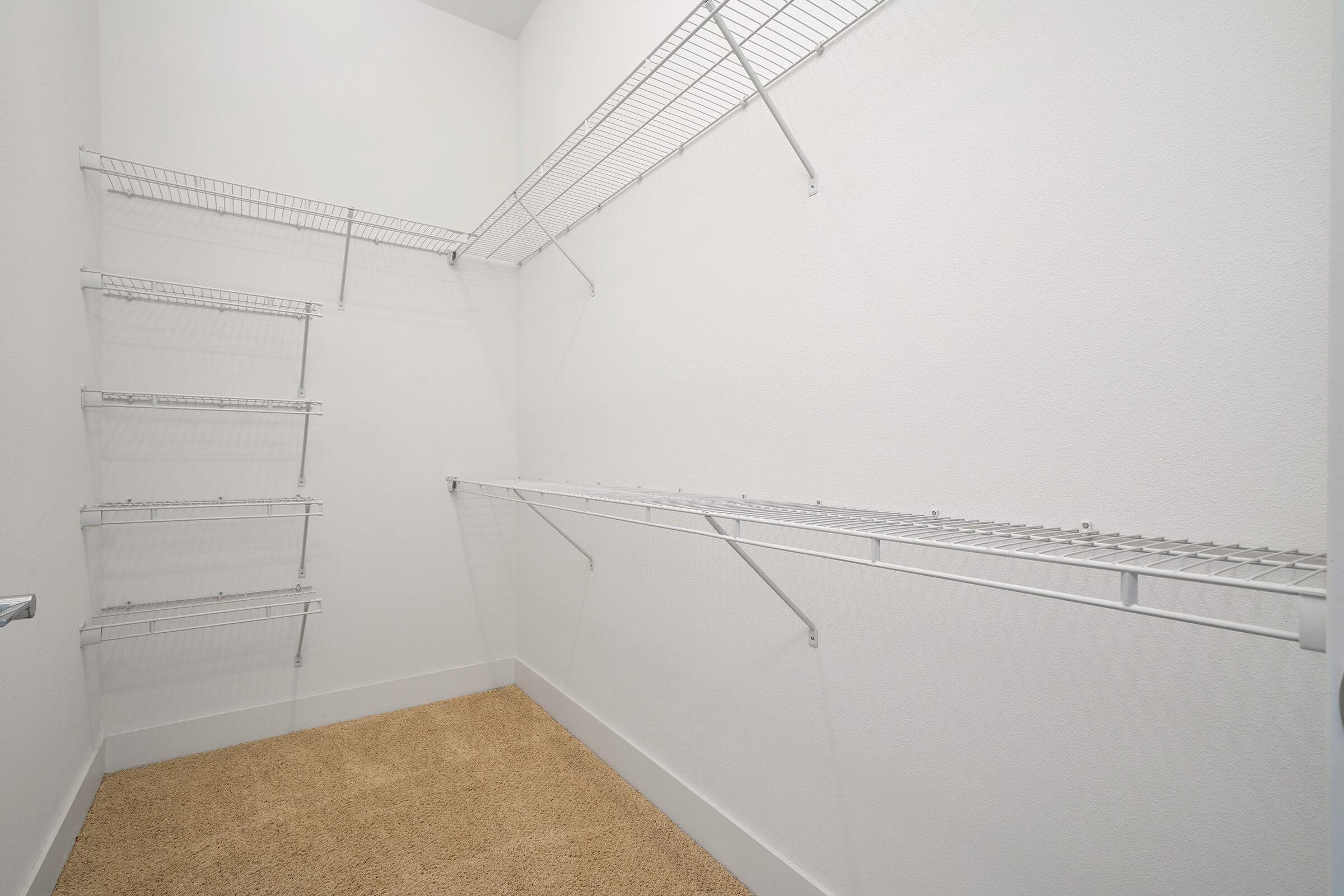 Carpeted walk-in closet with white walls