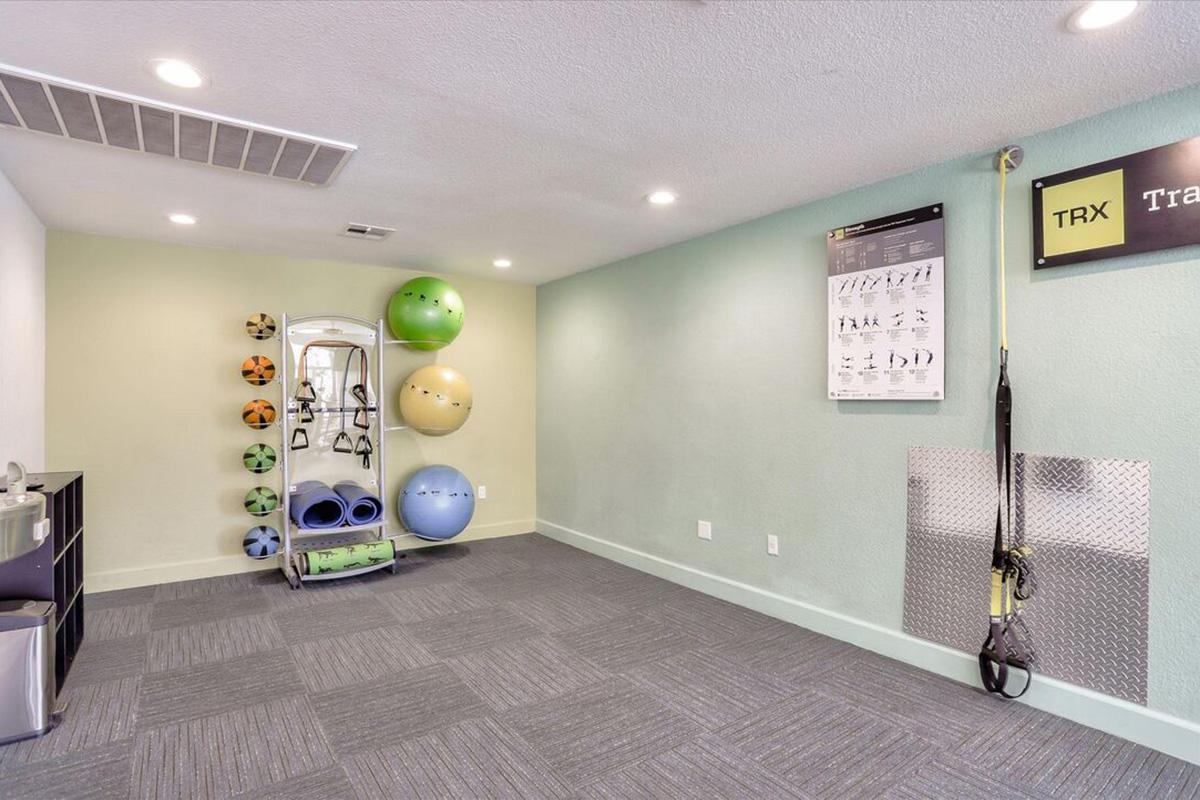 Interior of a fitness room featuring various exercise equipment. There are colorful exercise balls on a wall, a mirror, yoga mats stacked neatly, and a TRX training system hanging from the ceiling. A poster with workout instructions is also visible, showcasing various exercises. The room has a light green wall and gray carpet.