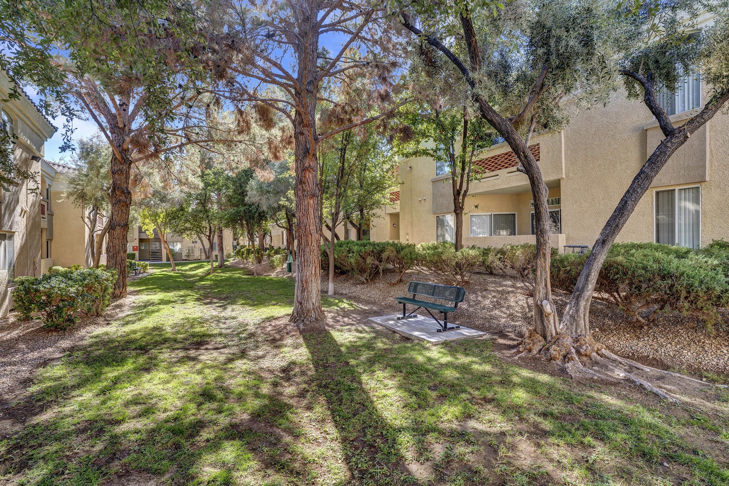 A sunny courtyard featuring green grass, tall trees, and a bench. Apartment buildings are visible in the background, providing a peaceful atmosphere with dappled sunlight filtering through the foliage.