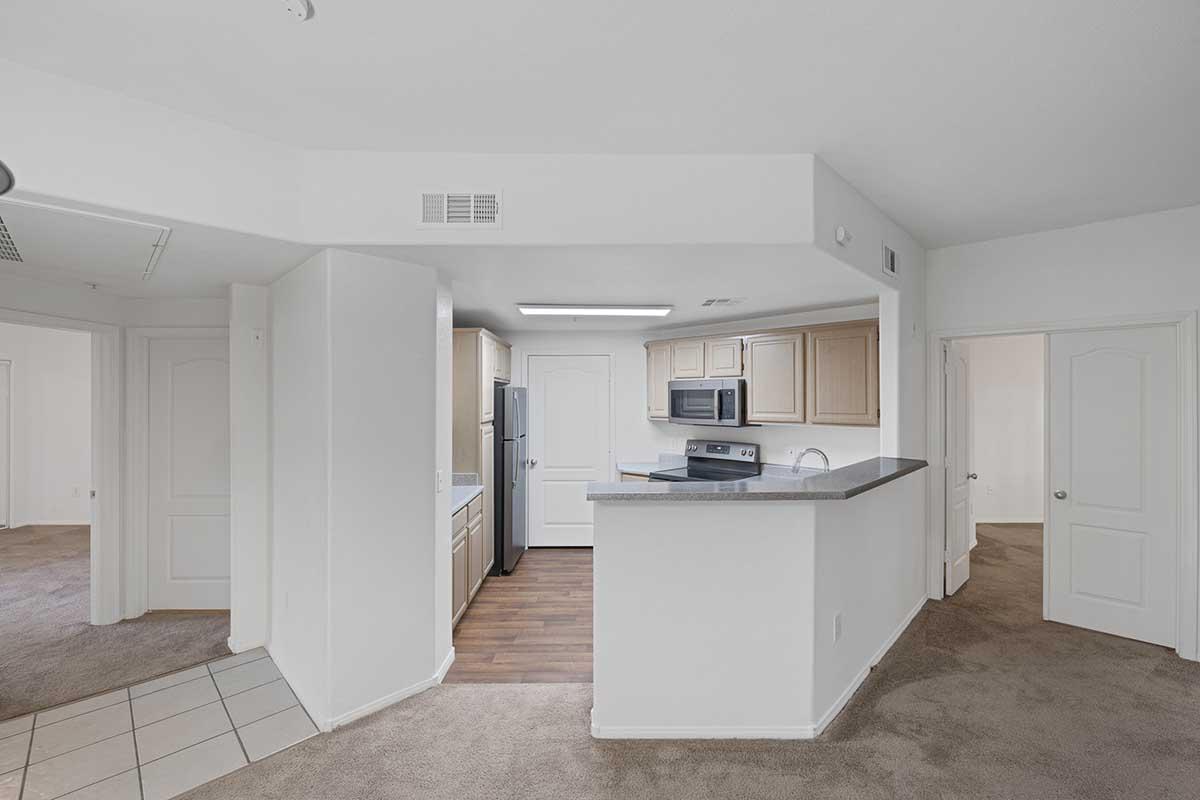 A spacious, modern kitchen and living area with beige cabinetry, stainless steel appliances, and a granite countertop. The layout includes a small island, nearby doorways leading to other rooms, and a carpeted floor, creating an inviting atmosphere. Natural light illuminates the space.