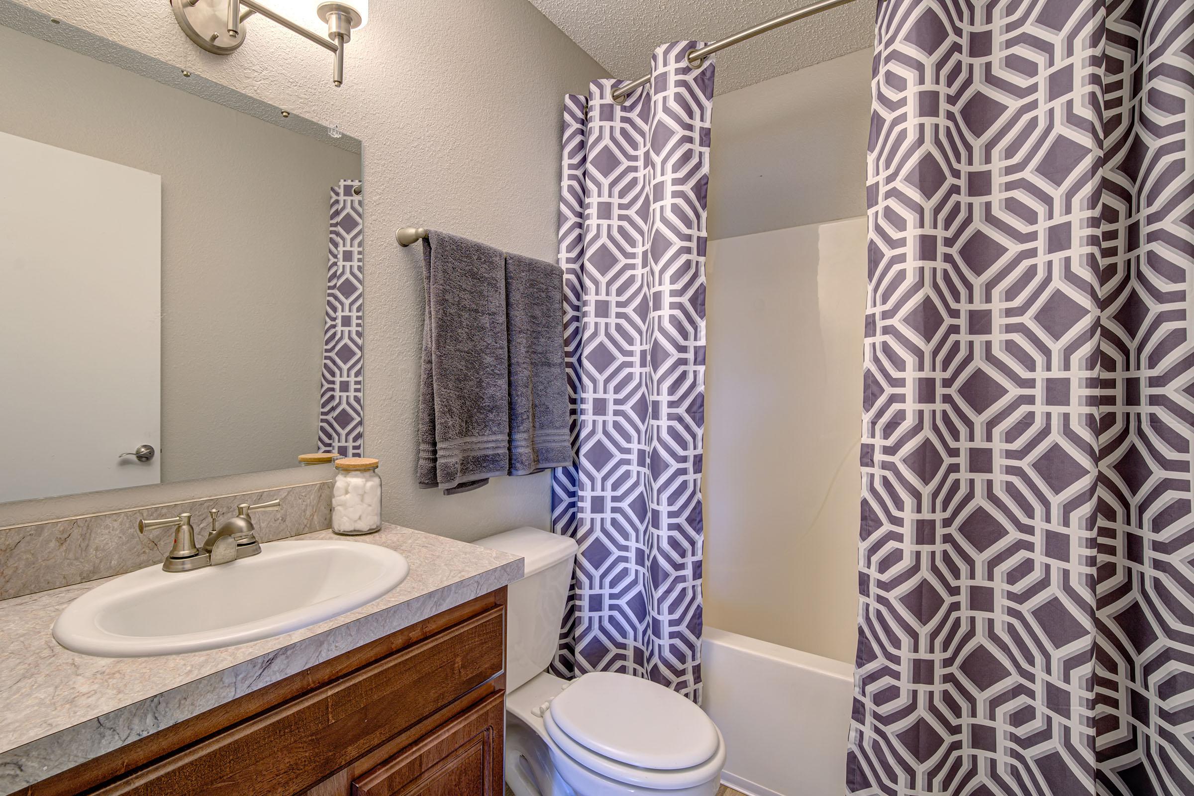 a sink and a mirror