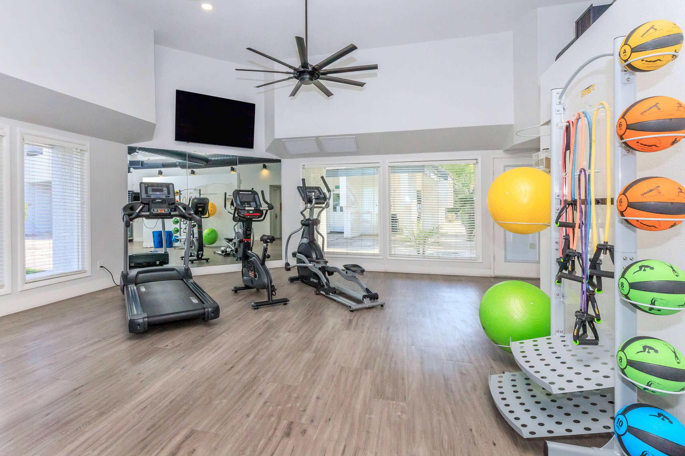 Bright and spacious home gym featuring a treadmill, elliptical machine, and strength training equipment. Large windows provide natural light, while colorful exercise balls and resistance bands are neatly organized on a wall rack. Modern design with a fan and a television for entertainment during workouts.