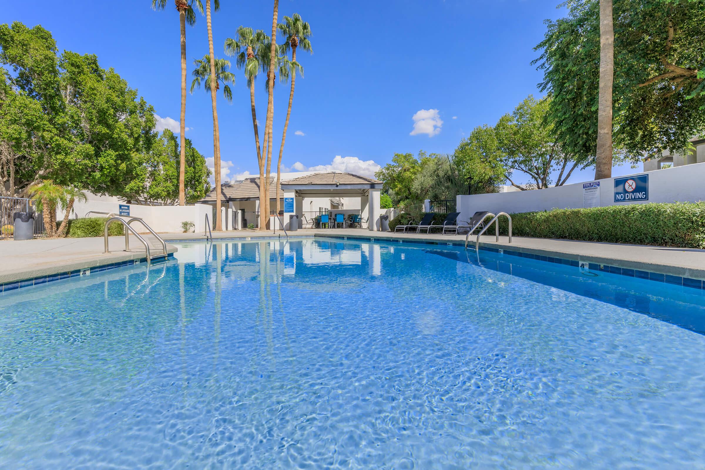 A clear swimming pool surrounded by palm trees and lush greenery. In the background, a roofed area with seating is visible. The sky is blue with a few clouds, and there are signs indicating no diving. The pool area is well-maintained and inviting.