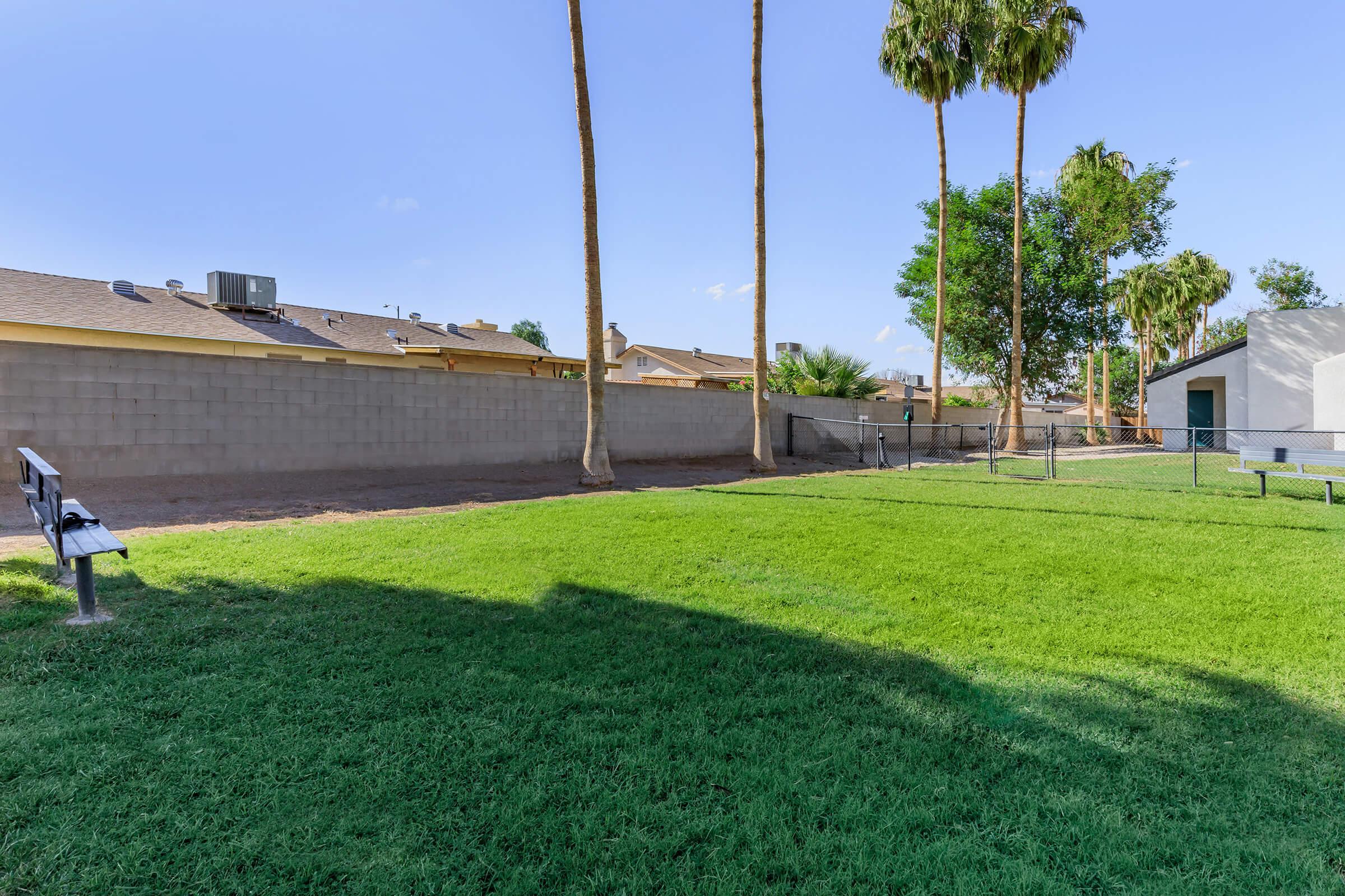 A sunny backyard view showing a well-maintained green lawn, palm trees, and a concrete wall. A bench is positioned on the left side, and a building is visible on the right. The scene conveys a peaceful outdoor space suitable for relaxation or recreation.