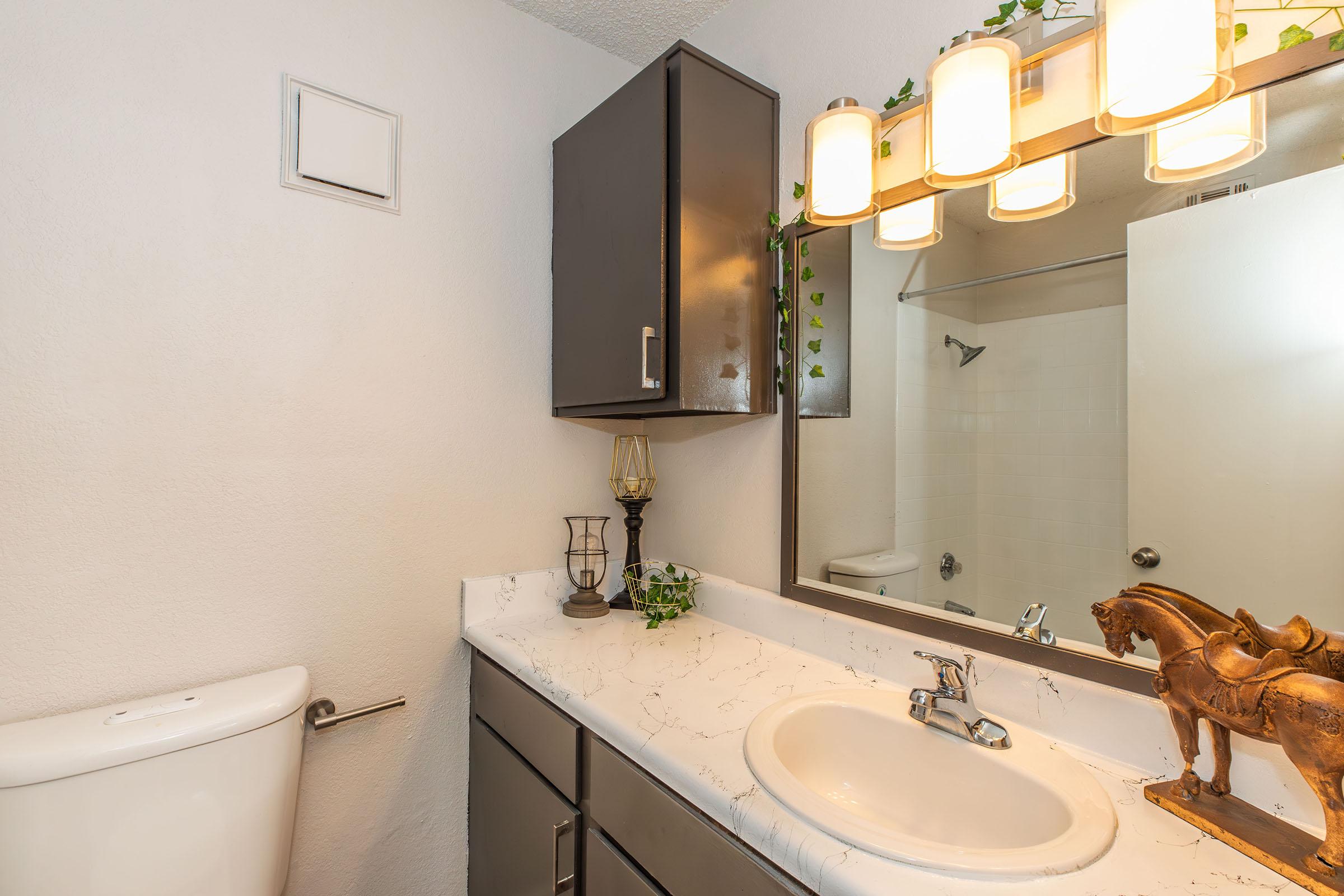 a double sink and large mirror