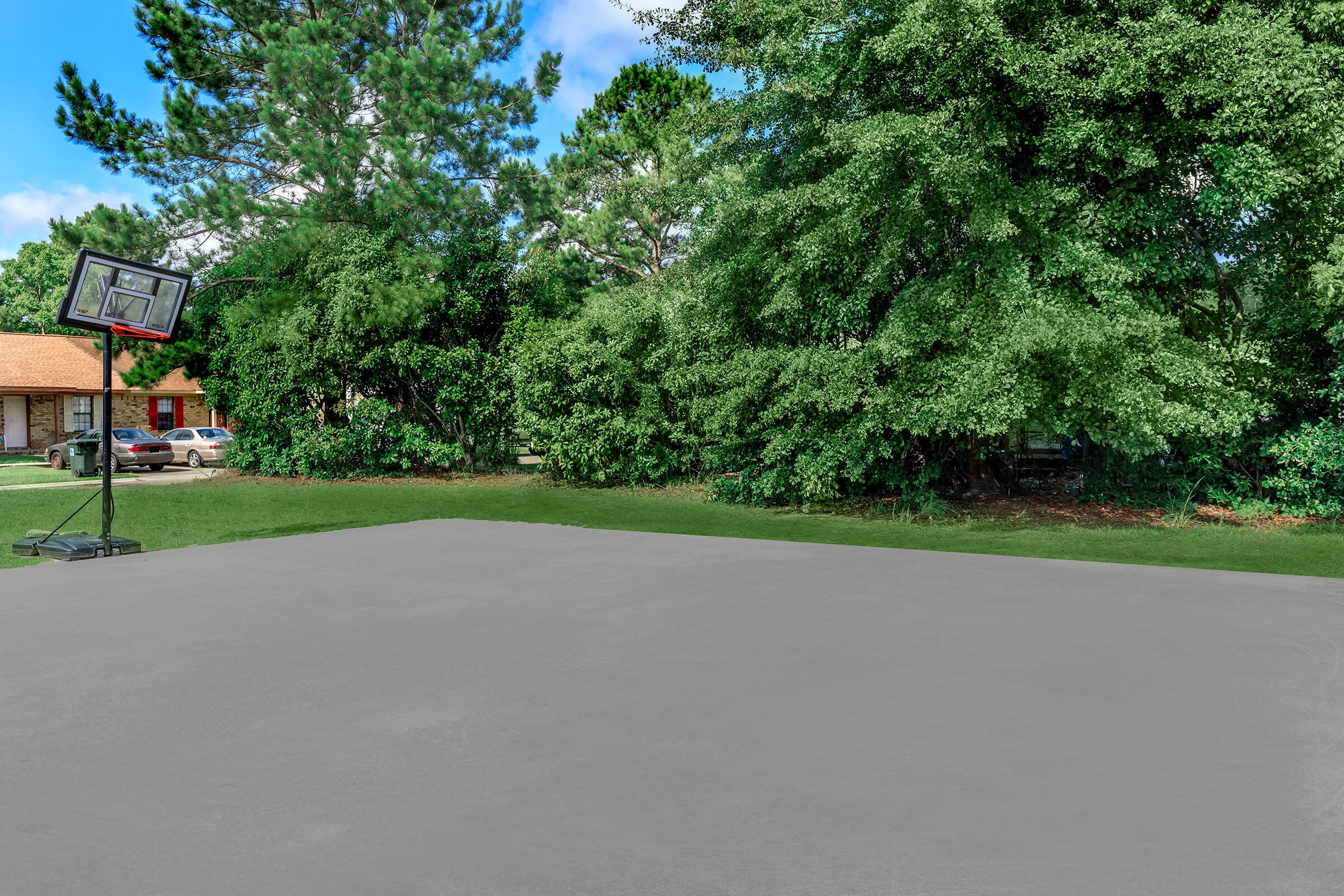 an empty road in front of a tree