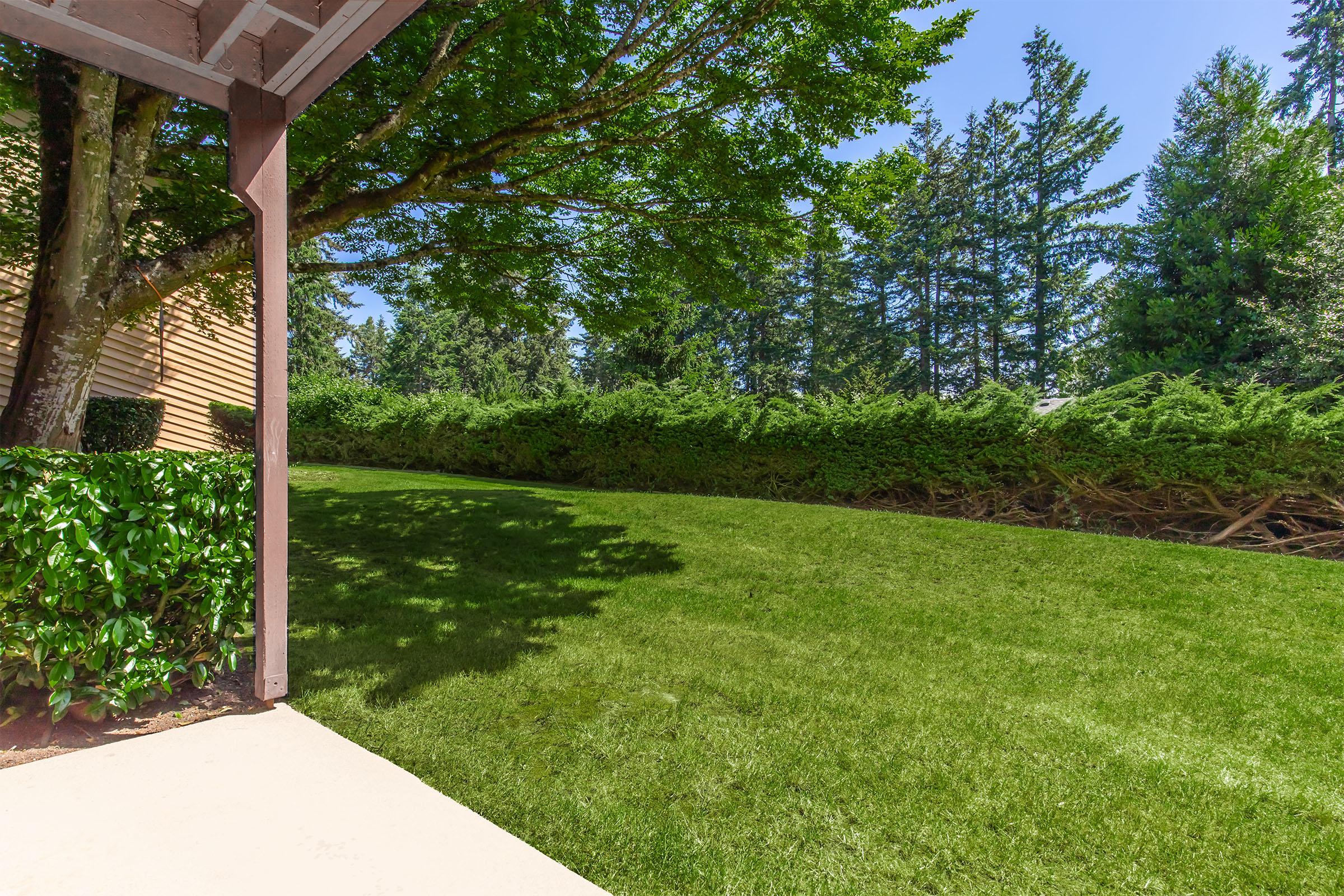 A view of a well-maintained, lush green lawn bordered by tall hedges and trees. Sunlight filters through the leaves, casting gentle shadows on the grass. The image captures a serene outdoor space, creating a peaceful atmosphere.