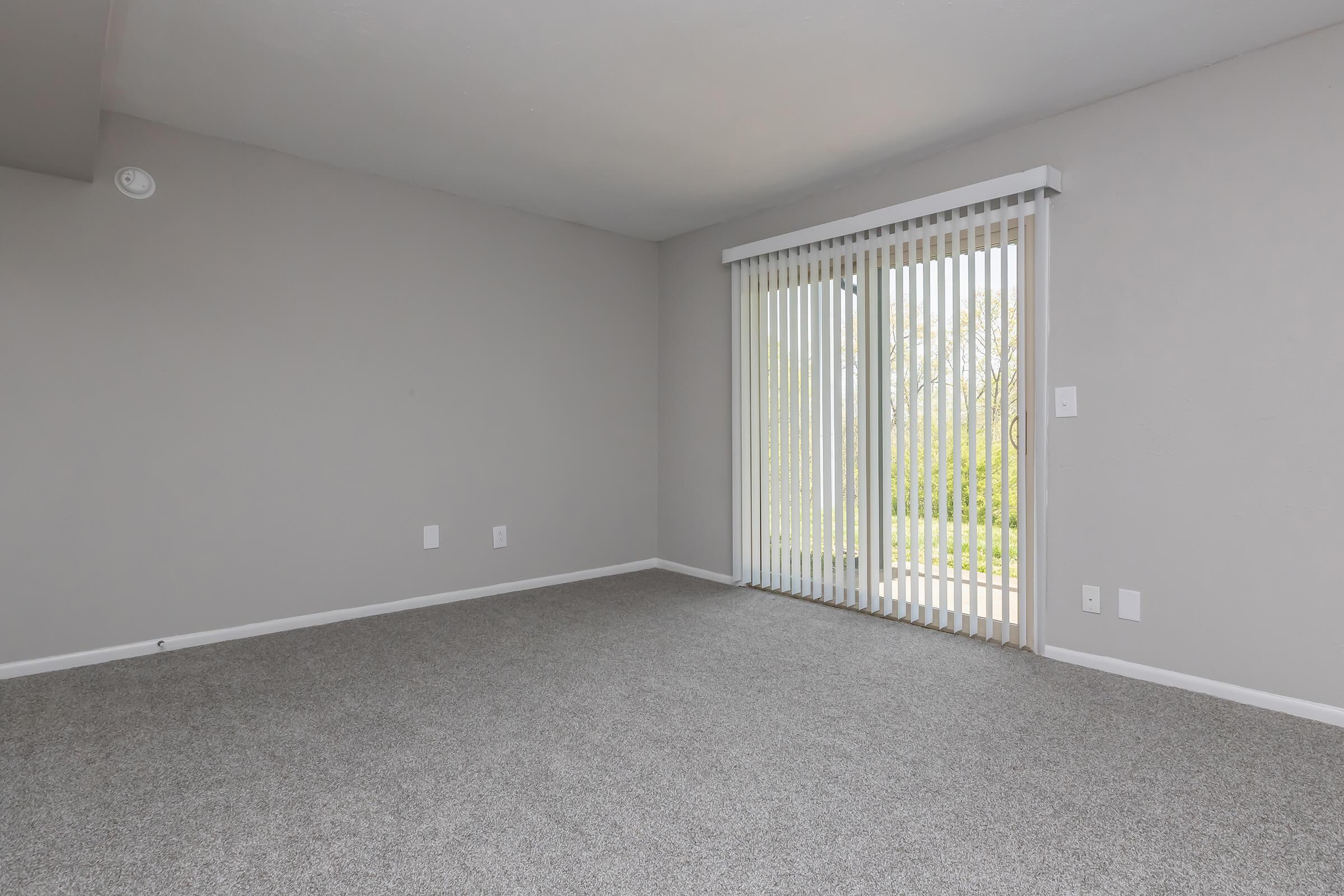 A spacious, empty room with light gray walls and carpet. A sliding glass door with vertical blinds leads to an outdoor area, allowing natural light to enter. There are no furnishings, highlighting the room's potential for personalization.