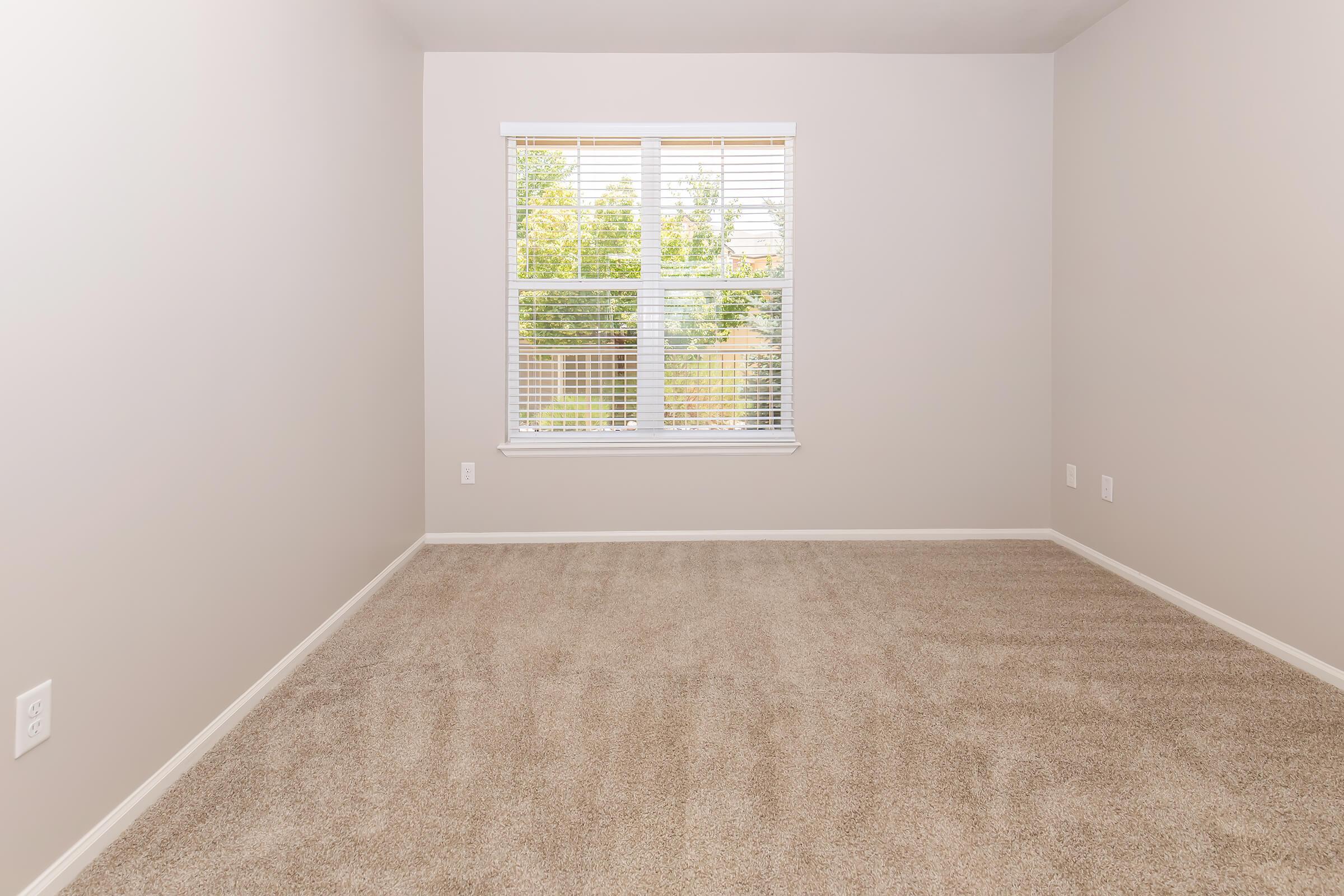 A vacant room with light beige carpet and pale gray walls. There is a window with white blinds allowing natural light to enter and a view of green trees outside. The space is empty, creating a bright and clean atmosphere, ideal for personal customization.