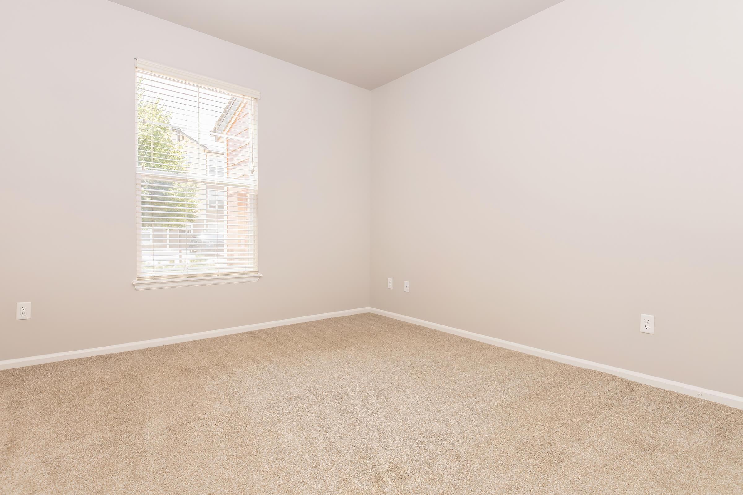 Empty room with beige carpet and light gray walls. A window with white blinds provides natural light, illuminating the space. There are no furnishings or decorations, creating a minimalistic and uncluttered atmosphere. Two electrical outlets are visible on the walls.
