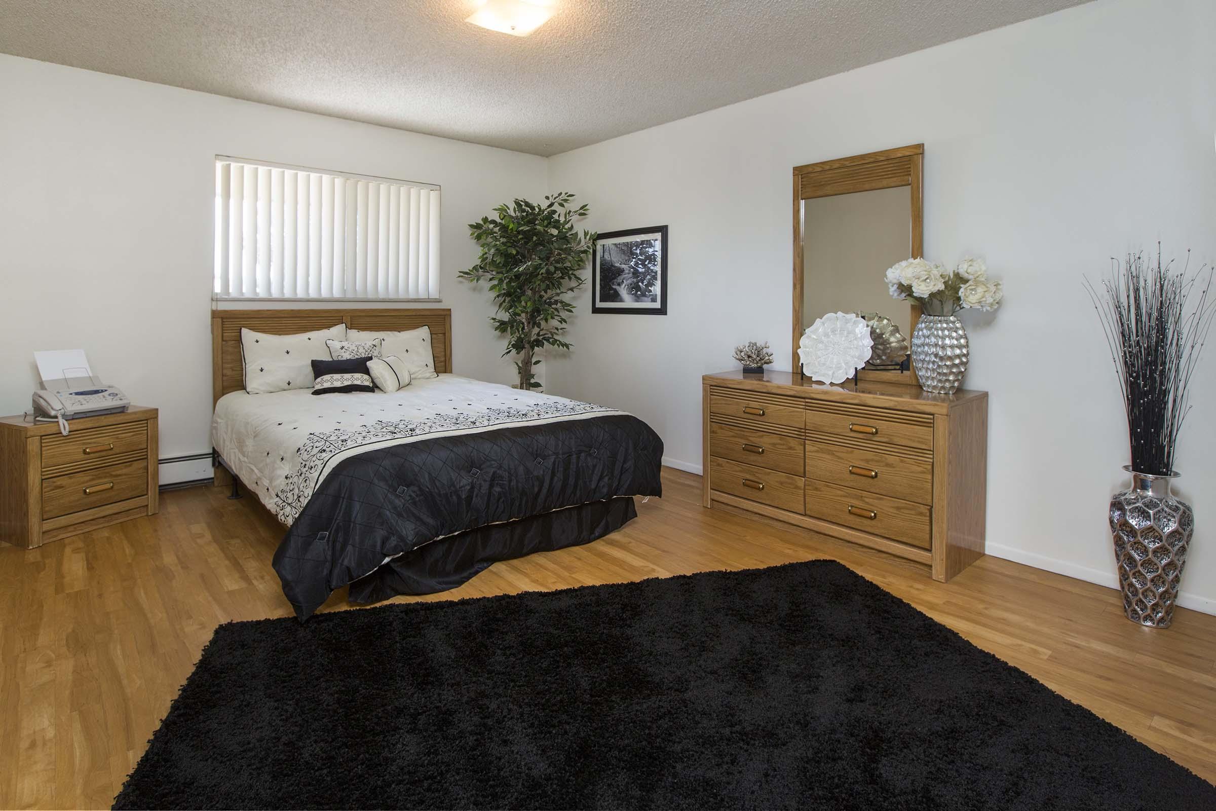 A well-lit, modern bedroom featuring a queen-sized bed with black and white bedding, a nightstand with a printer, a tall potted plant, and a wooden dresser. The room has a large window with vertical blinds and decorative items like a mirror and vases. A plush black rug covers the hardwood floor.