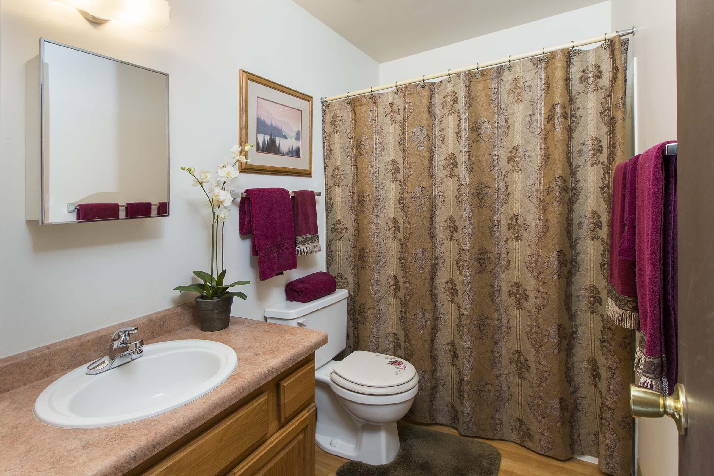 A small bathroom featuring a sink with a mirror above, a toilet, and a shower area with a brown patterned curtain. There are decorative towels in burgundy and a potted orchid on the counter. A framed picture of a landscape is hung on the wall, adding a touch of decor to the space.