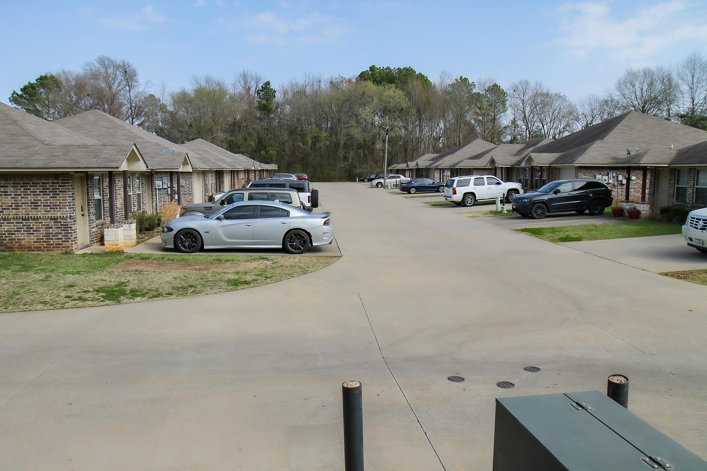 A residential area featuring several brick houses aligned along a concrete road. Multiple cars are parked along the road, with greenery and trees in the background. The scene is set on a clear day with blue skies.
