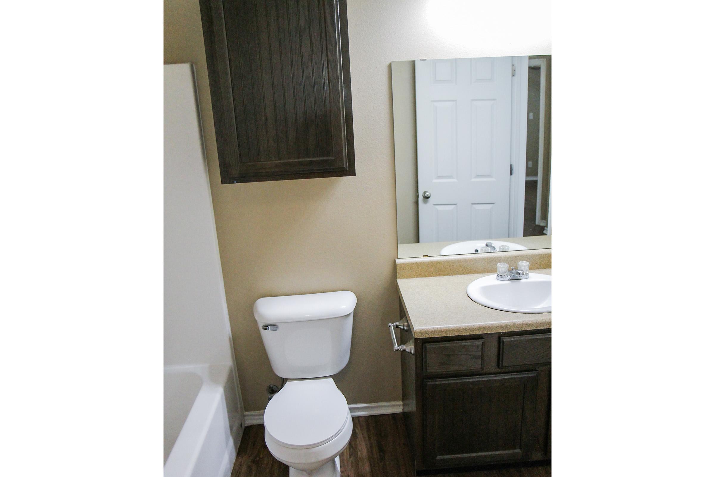 A well-lit bathroom featuring a white toilet, a beige countertop with a sink, a large mirror above the sink, and dark wood cabinetry. The wall is painted a light color, and there is a bathtub visible in the background. A door is partially open, providing access to another room.