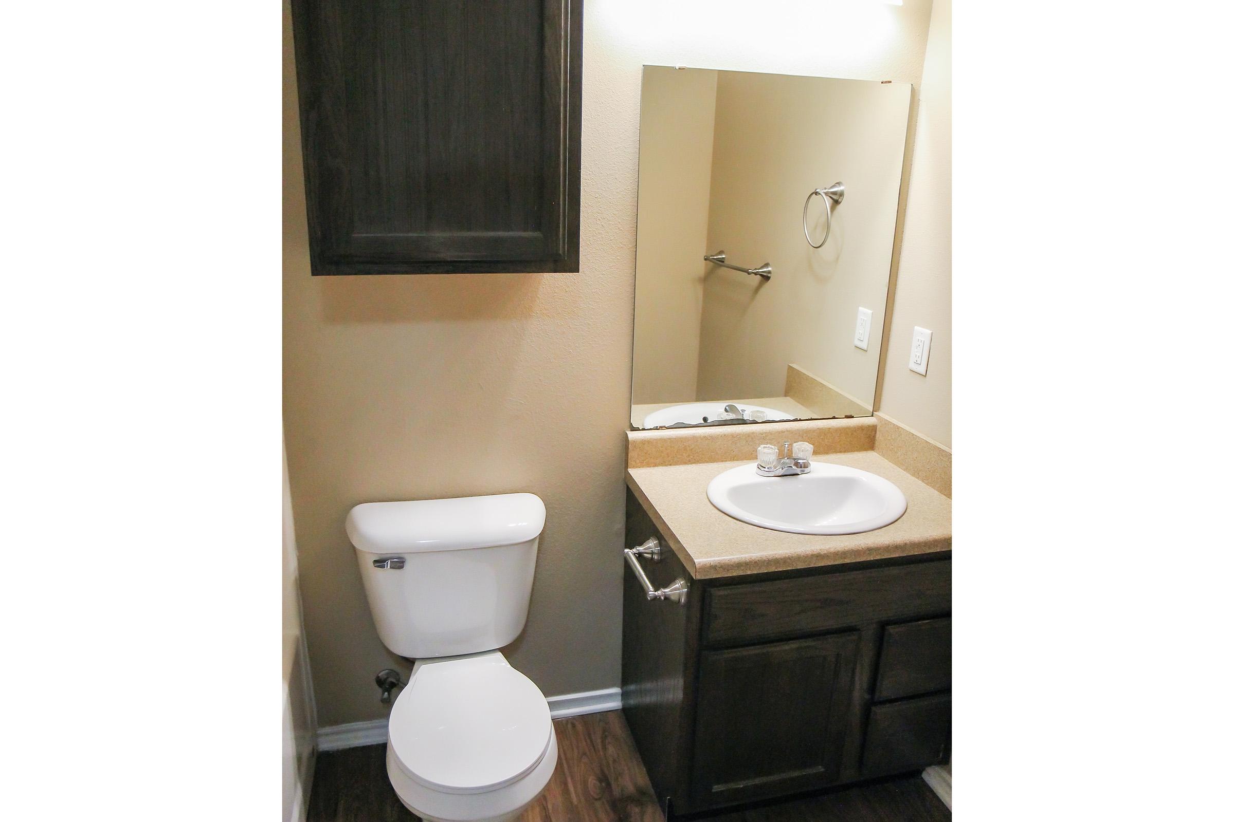 A small bathroom featuring a white toilet, a mirrored medicine cabinet above a sink with a countertop, and a towel bar against a light-colored wall. The vanity has dark wood cabinets, and the flooring is a dark laminate.