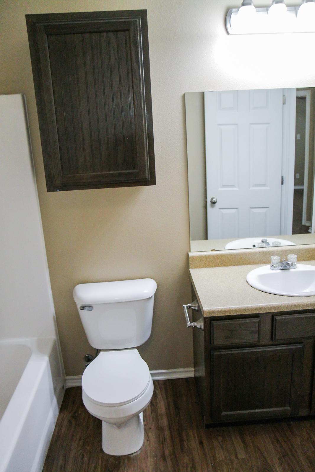 A clean bathroom featuring a white toilet, a light-colored countertop with a sink, a large mirror, and a wooden cabinet above the sink. The walls are painted a neutral color, and there's a bathtub to the left. A white door is visible in the background.