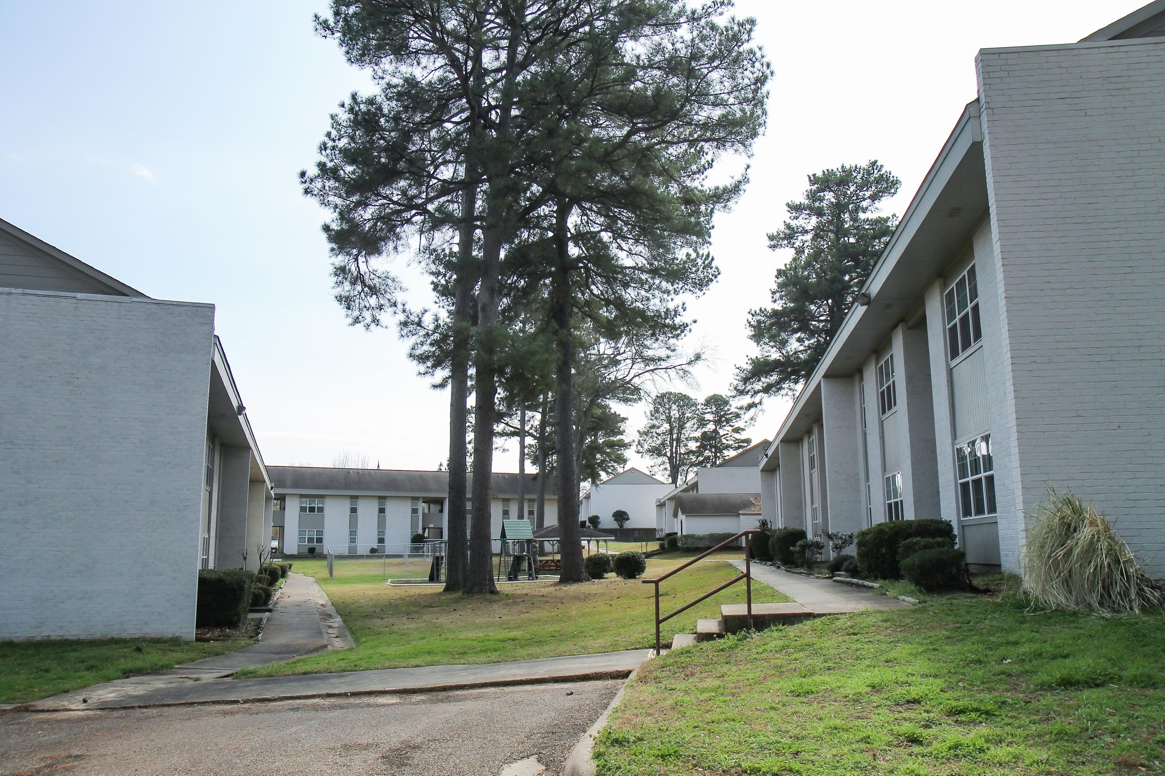 A view of a residential area featuring two low-rise buildings surrounded by green grass, a pathway, and tall pine trees. The buildings have large windows and are situated in a neat environment, suggesting a well-maintained complex. The sky is clear, adding to the serene atmosphere.
