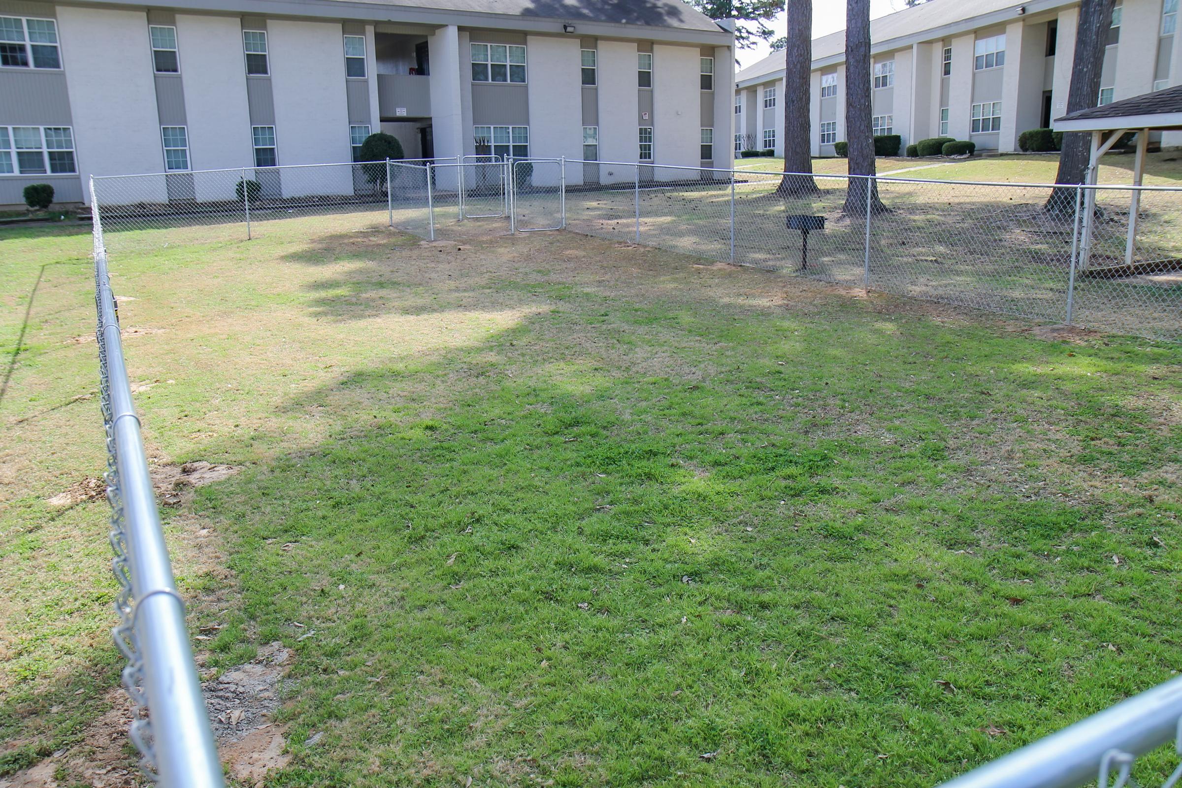 A grassy area enclosed by a chain-link fence, with several trees providing shade. In the background, there are two multi-story apartment buildings. The ground is a mix of grass and bare soil, indicating some wear. Sunlight casts shadows on the ground, creating a pattern of light and shade.